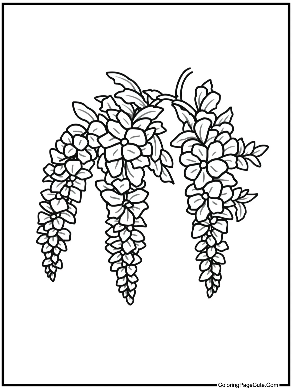 with Wisteria Flowers