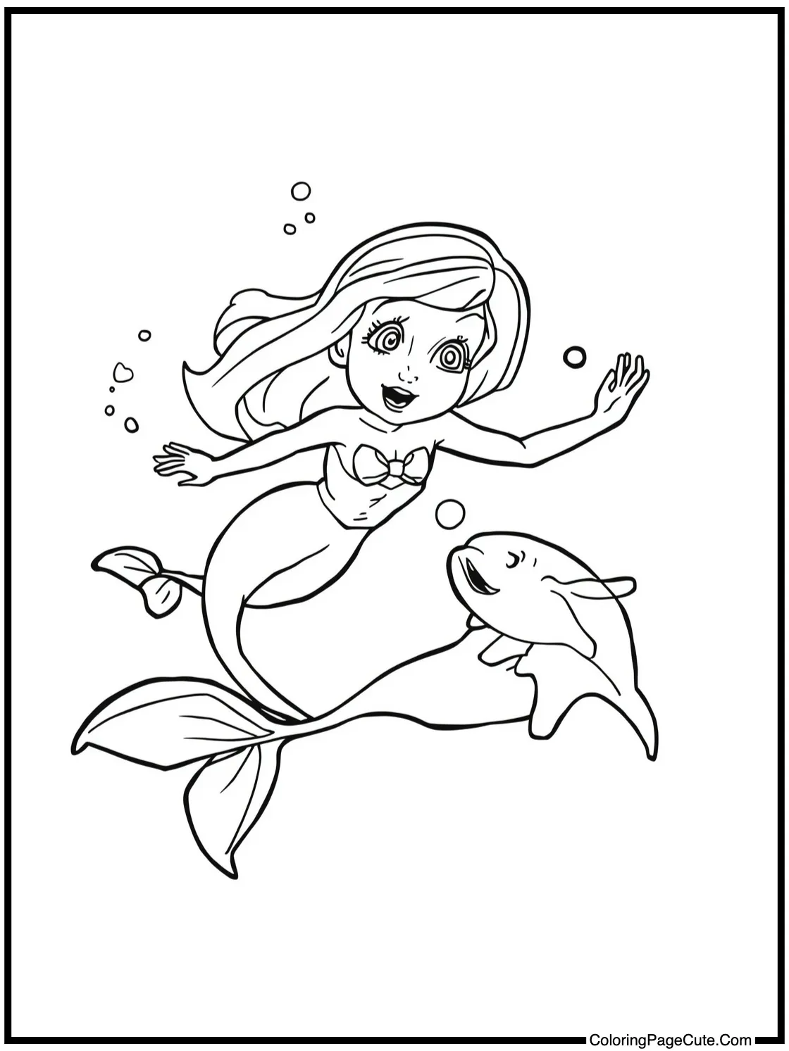 swimming with dolphins