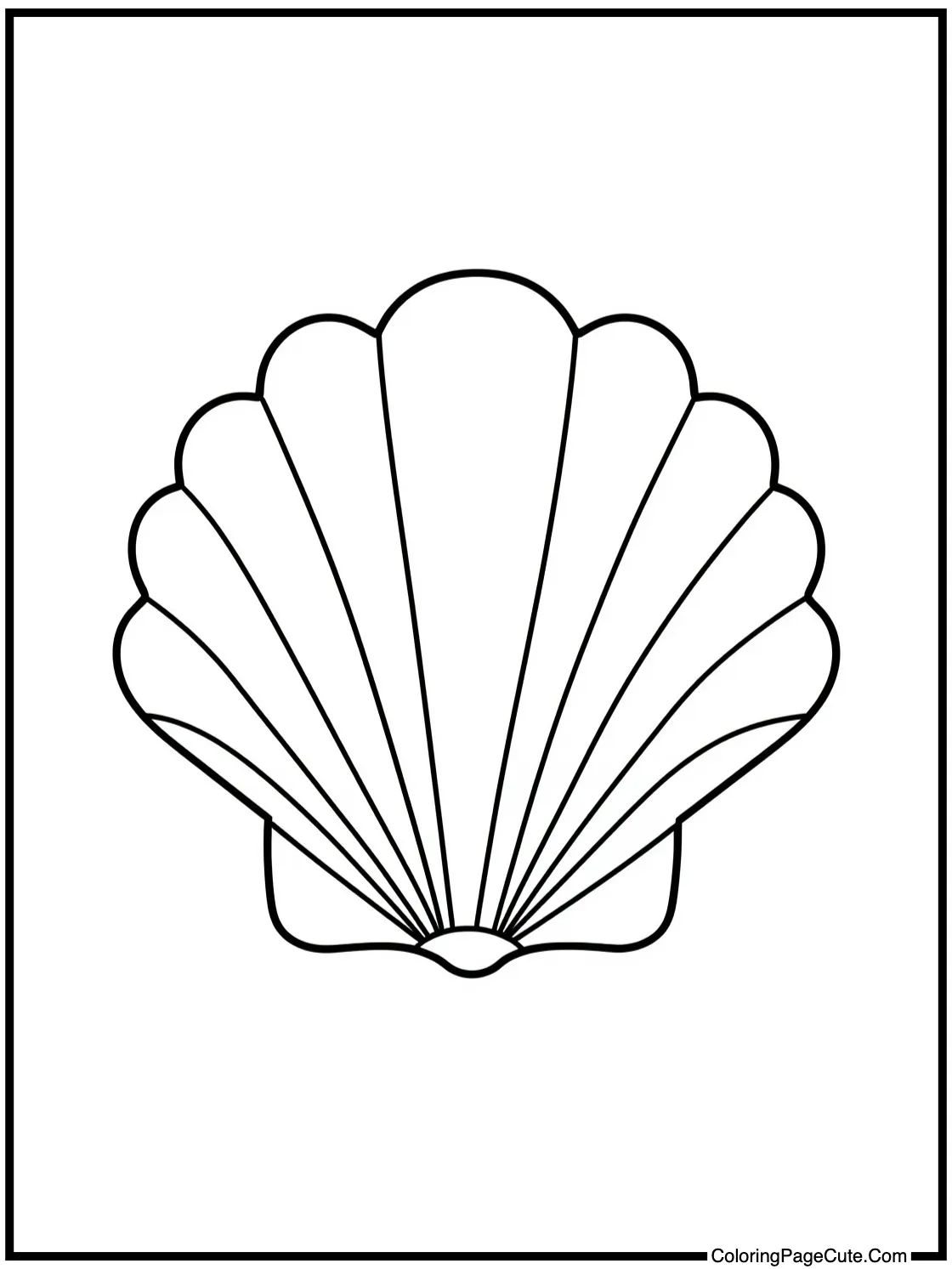 with a beautiful shell