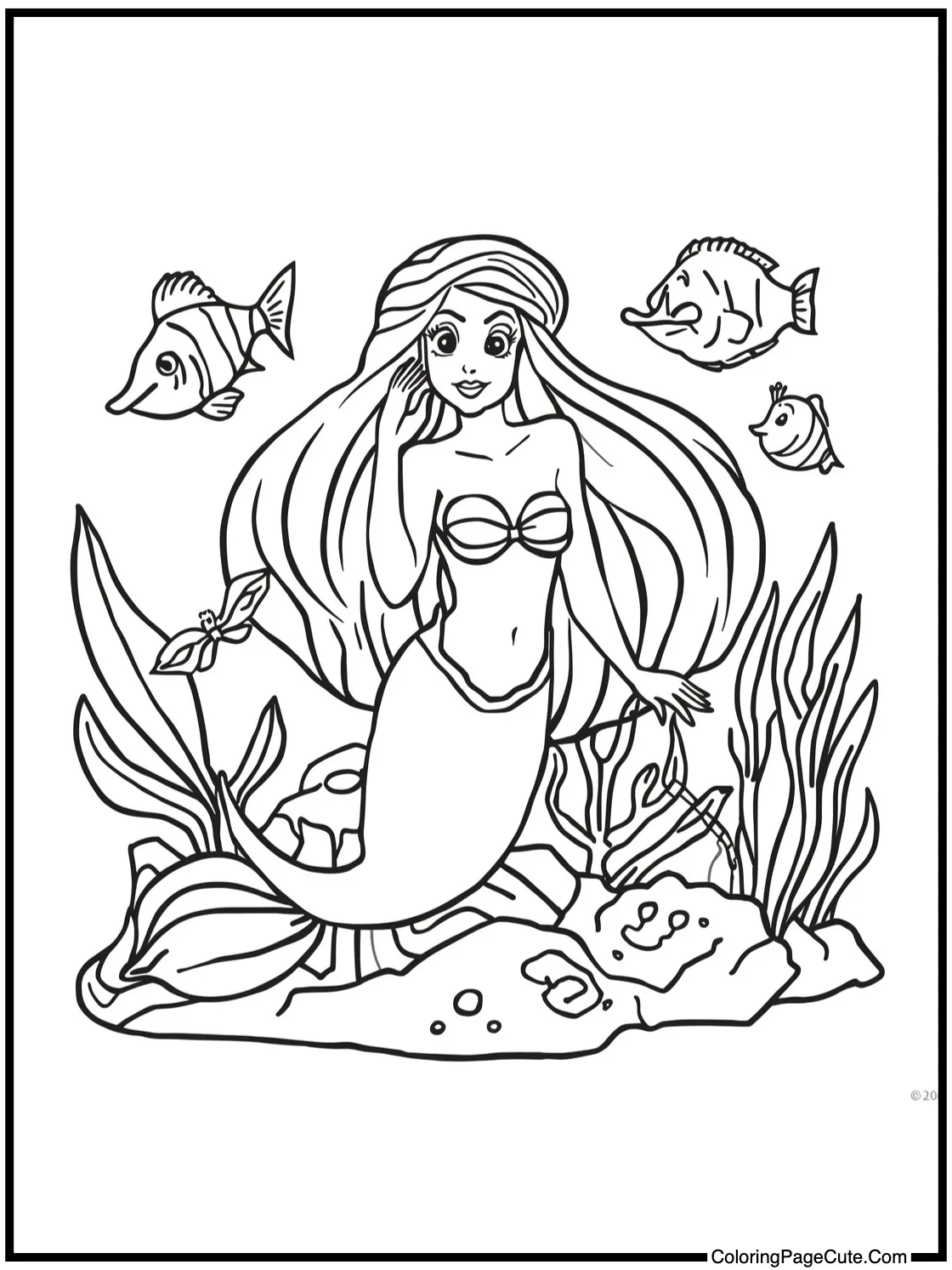 with beautiful coral