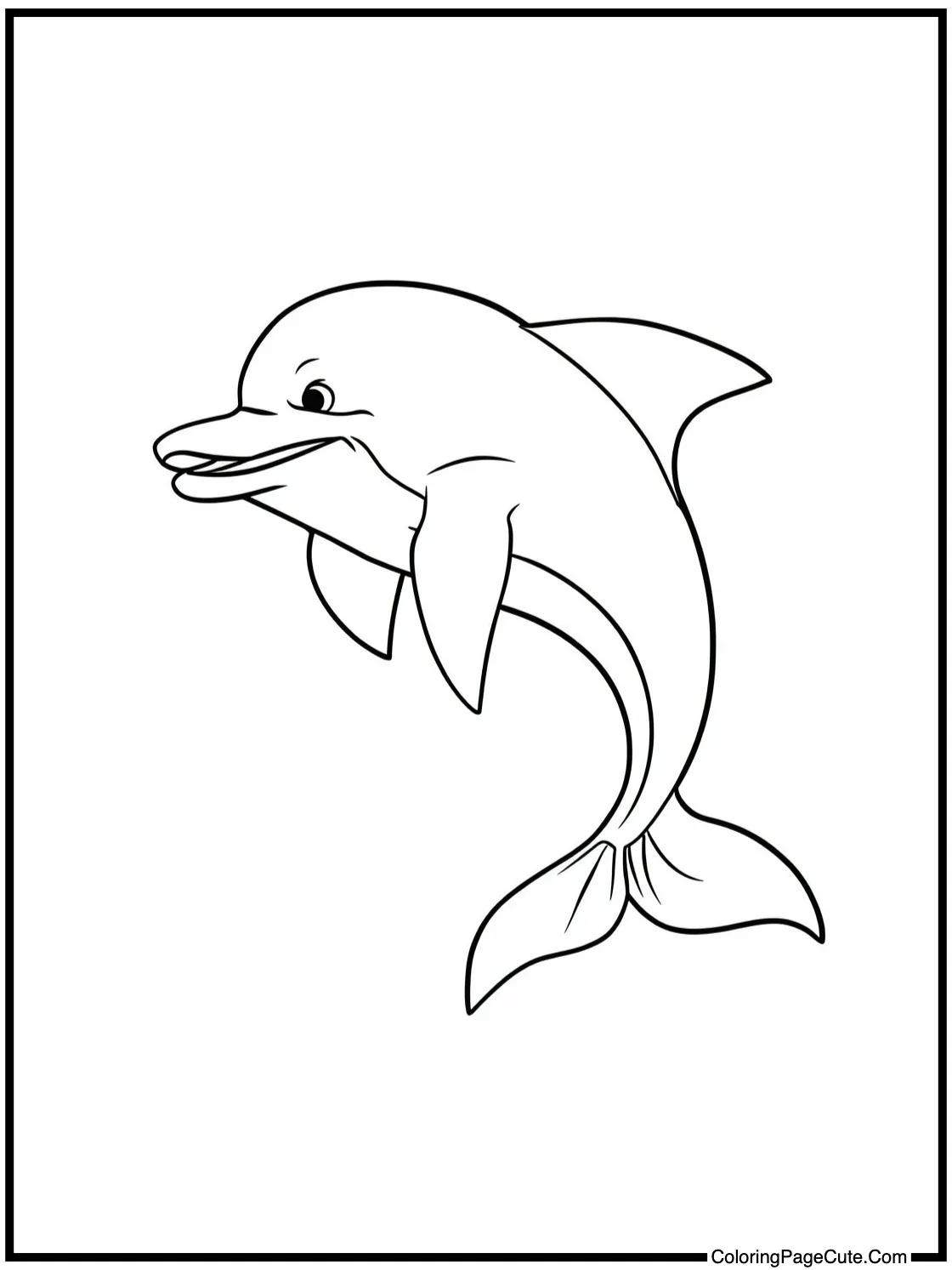 with a playful dolphin