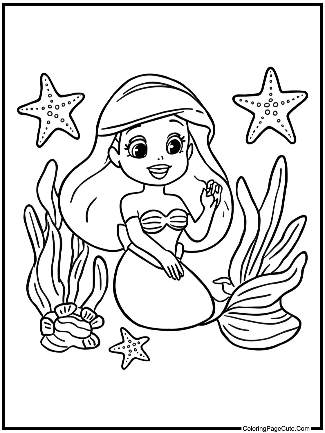 collecting sea stars