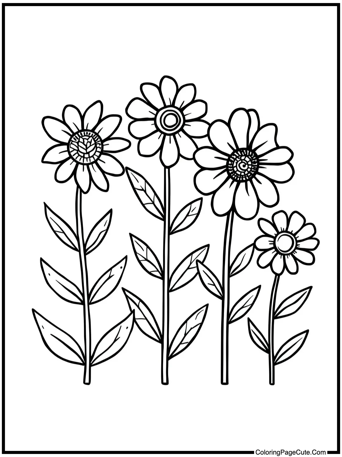 of beautiful flowers