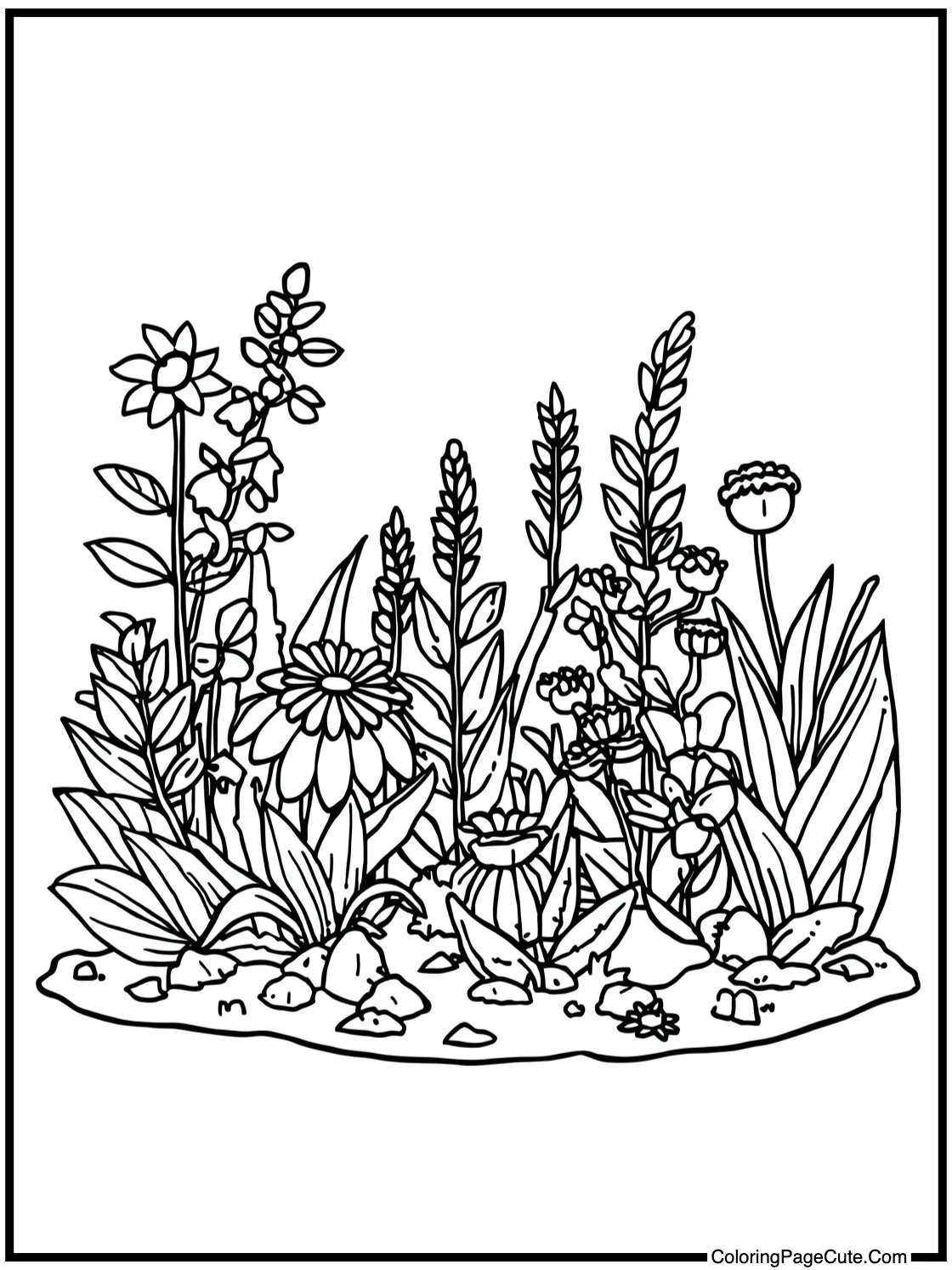 exploring a vibrant garden