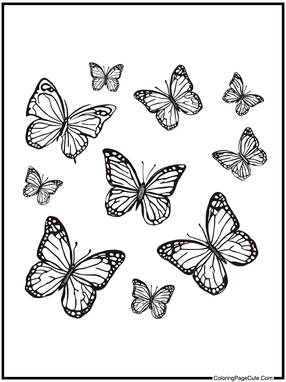 with fluttering butterflies