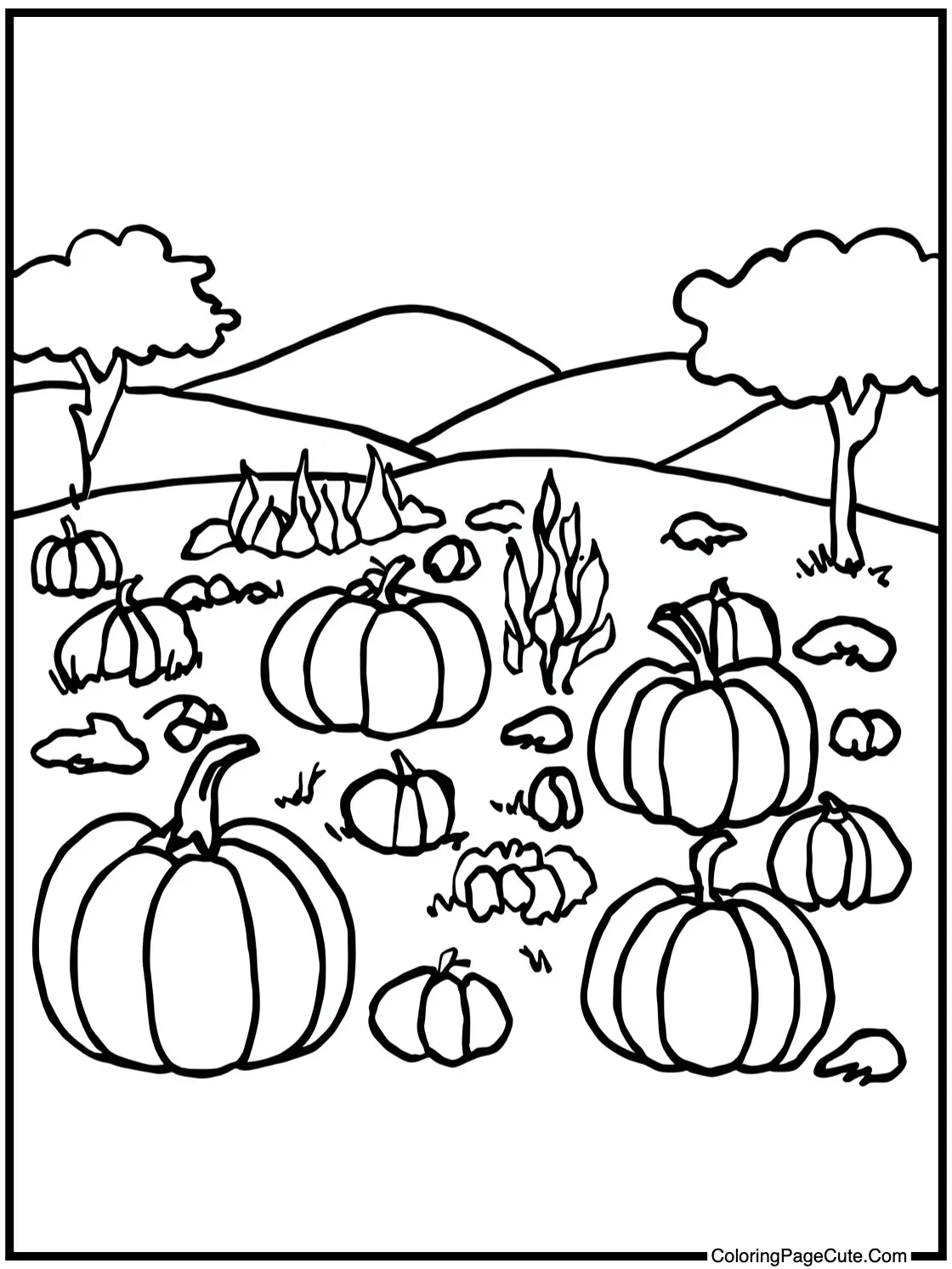 Pumpkin patch scene