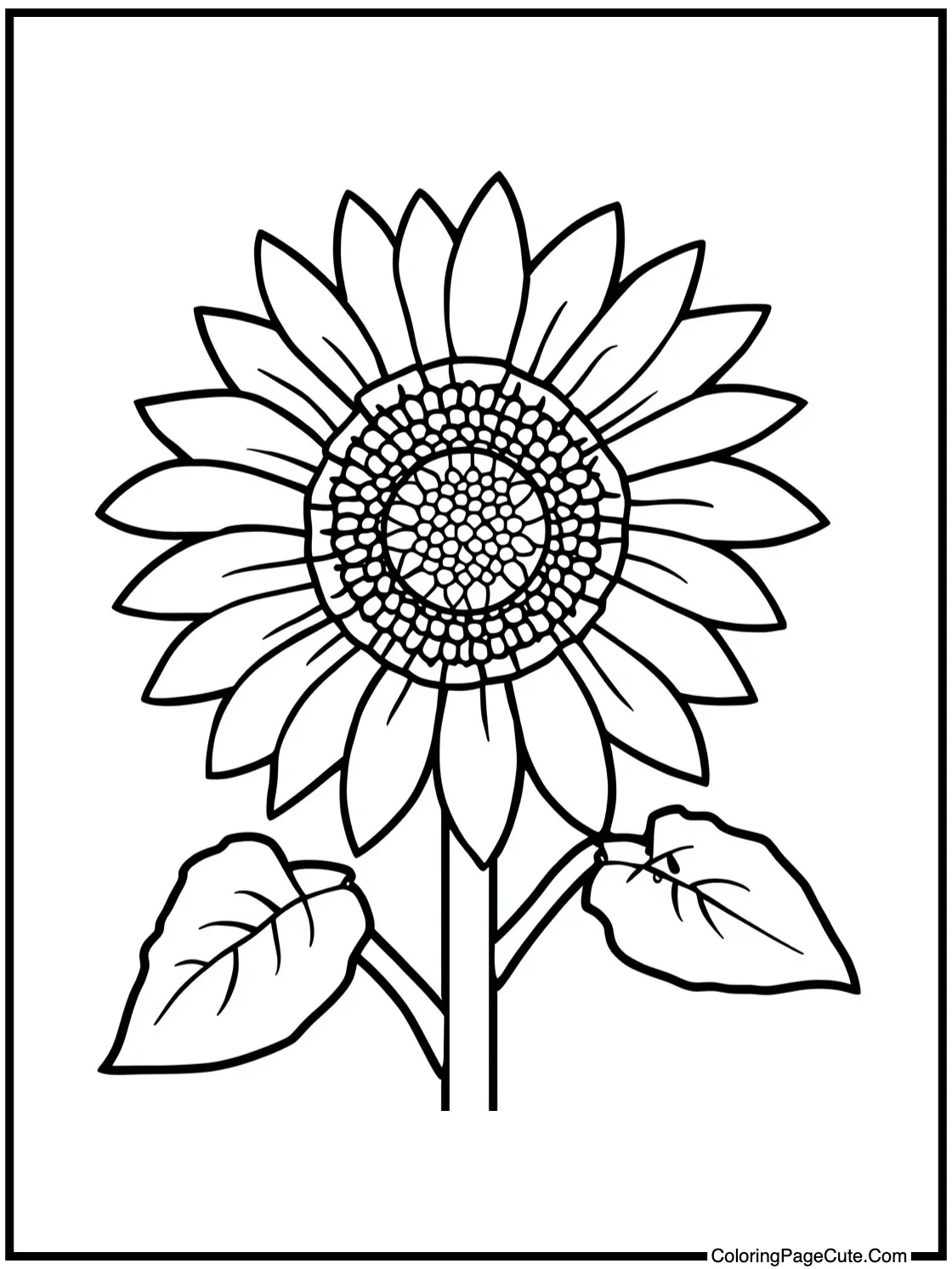 Sunflowers blooming bright