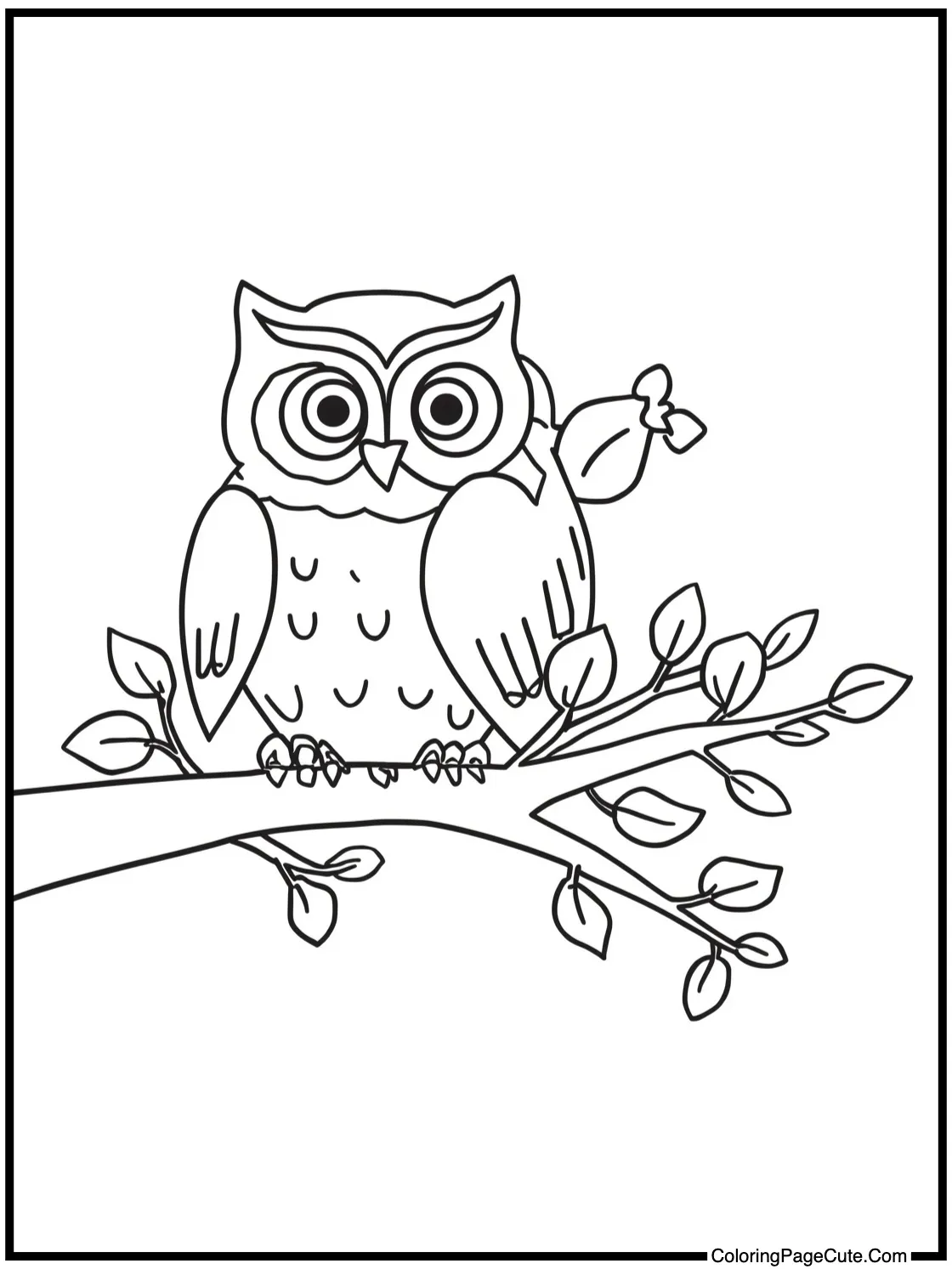 Owls on branches