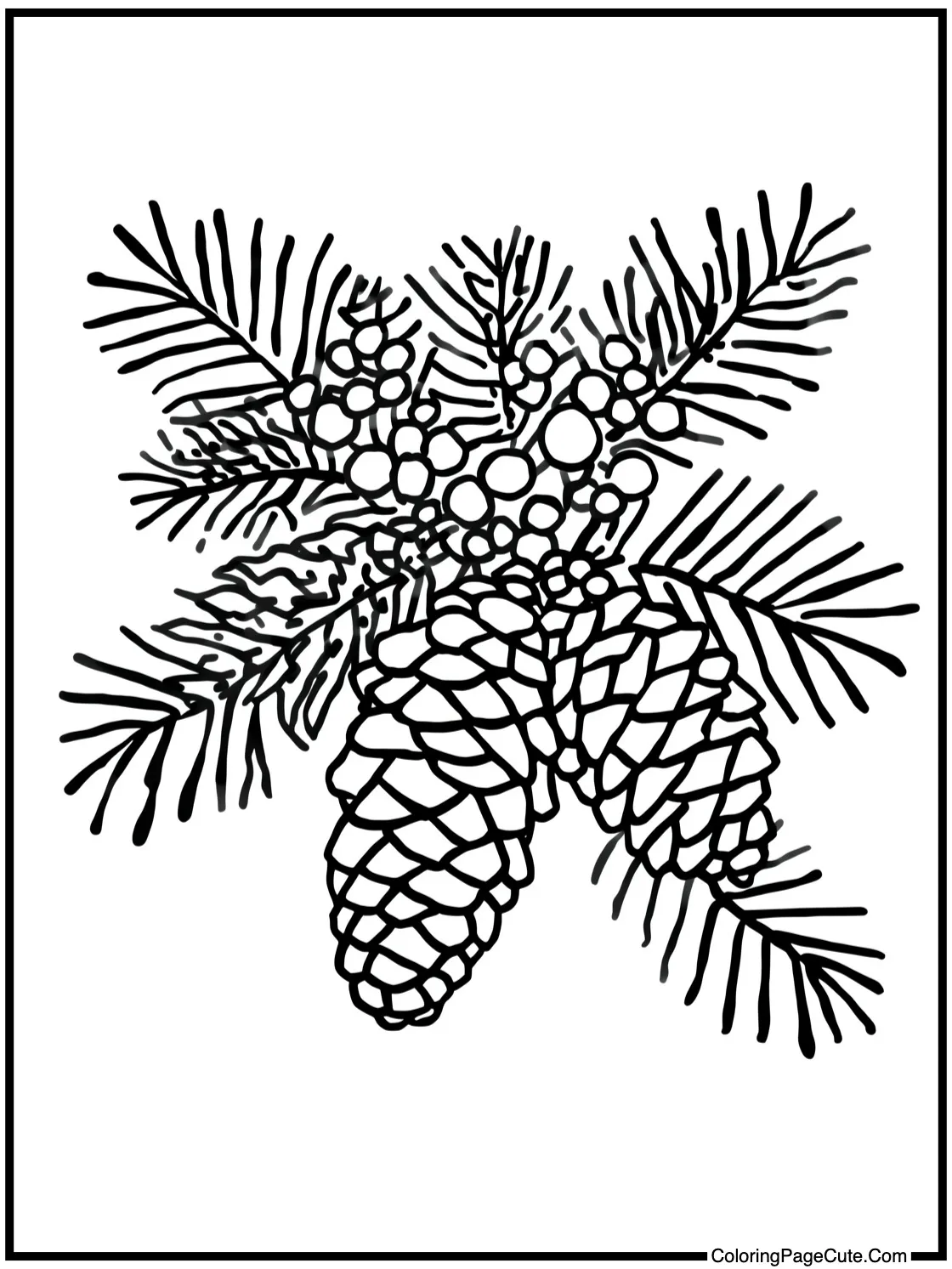 Pinecones and berries