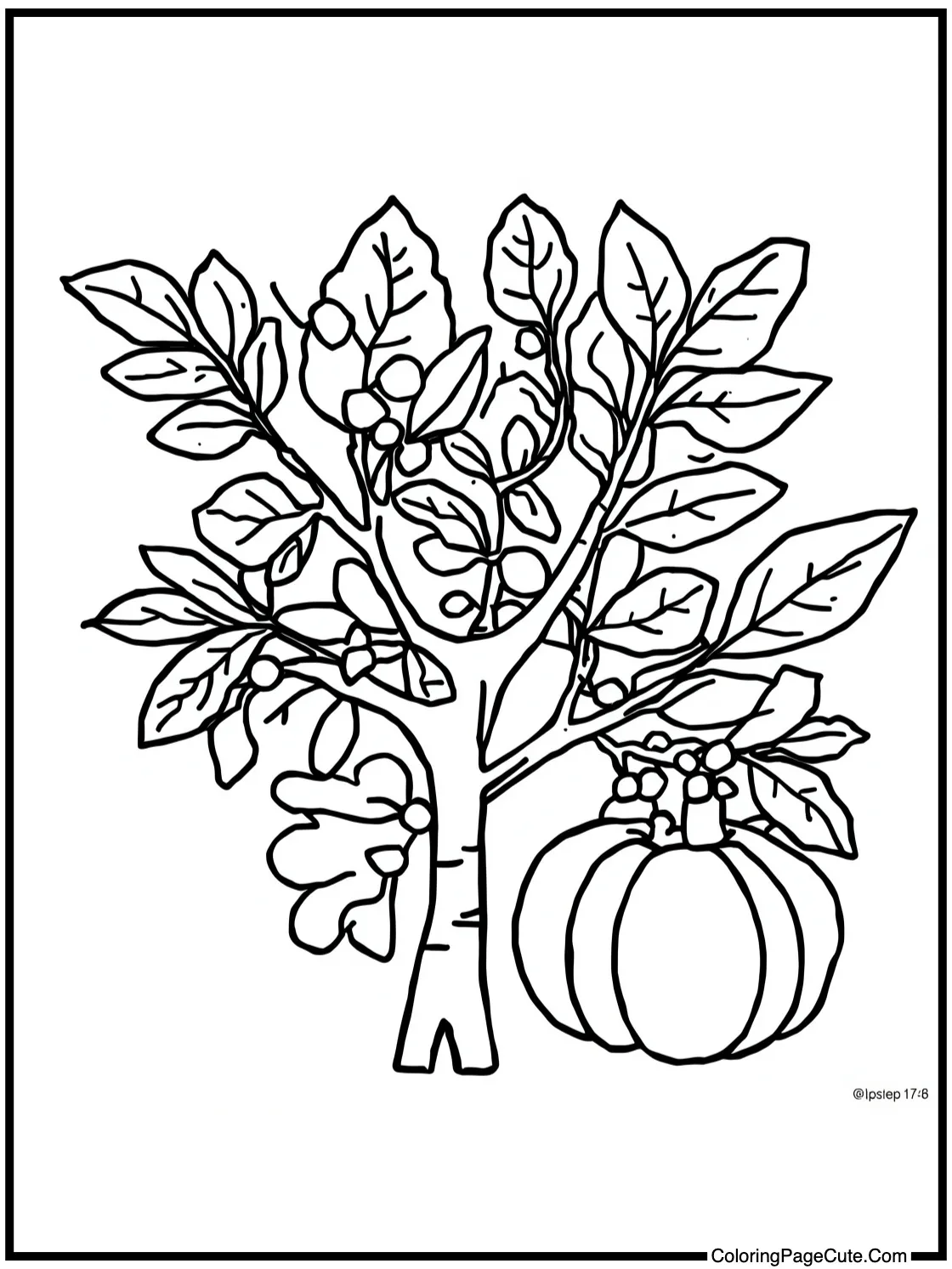 Cranberry harvest day