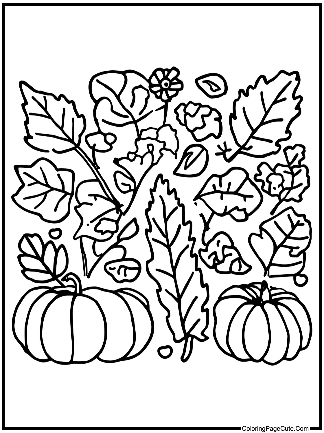 Fall foliage display