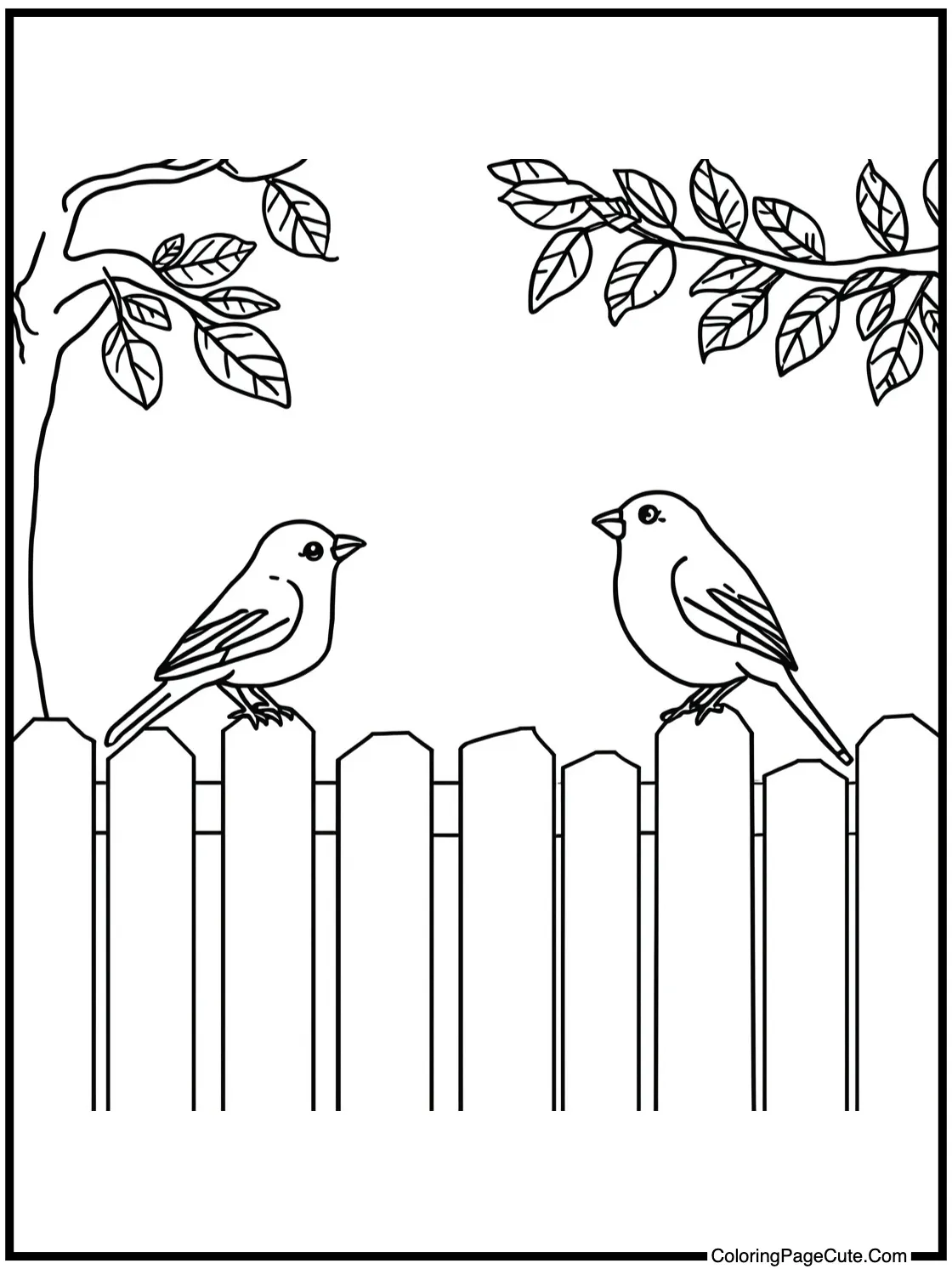 Birds on fence