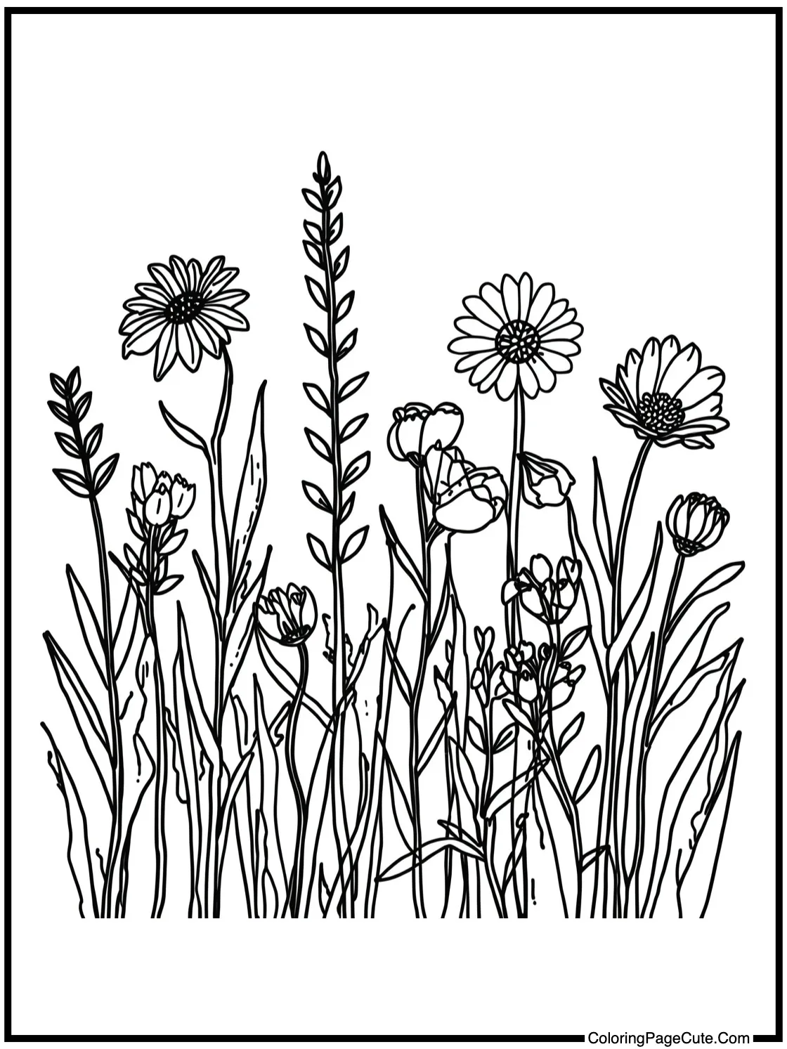 Gathering wild flowers