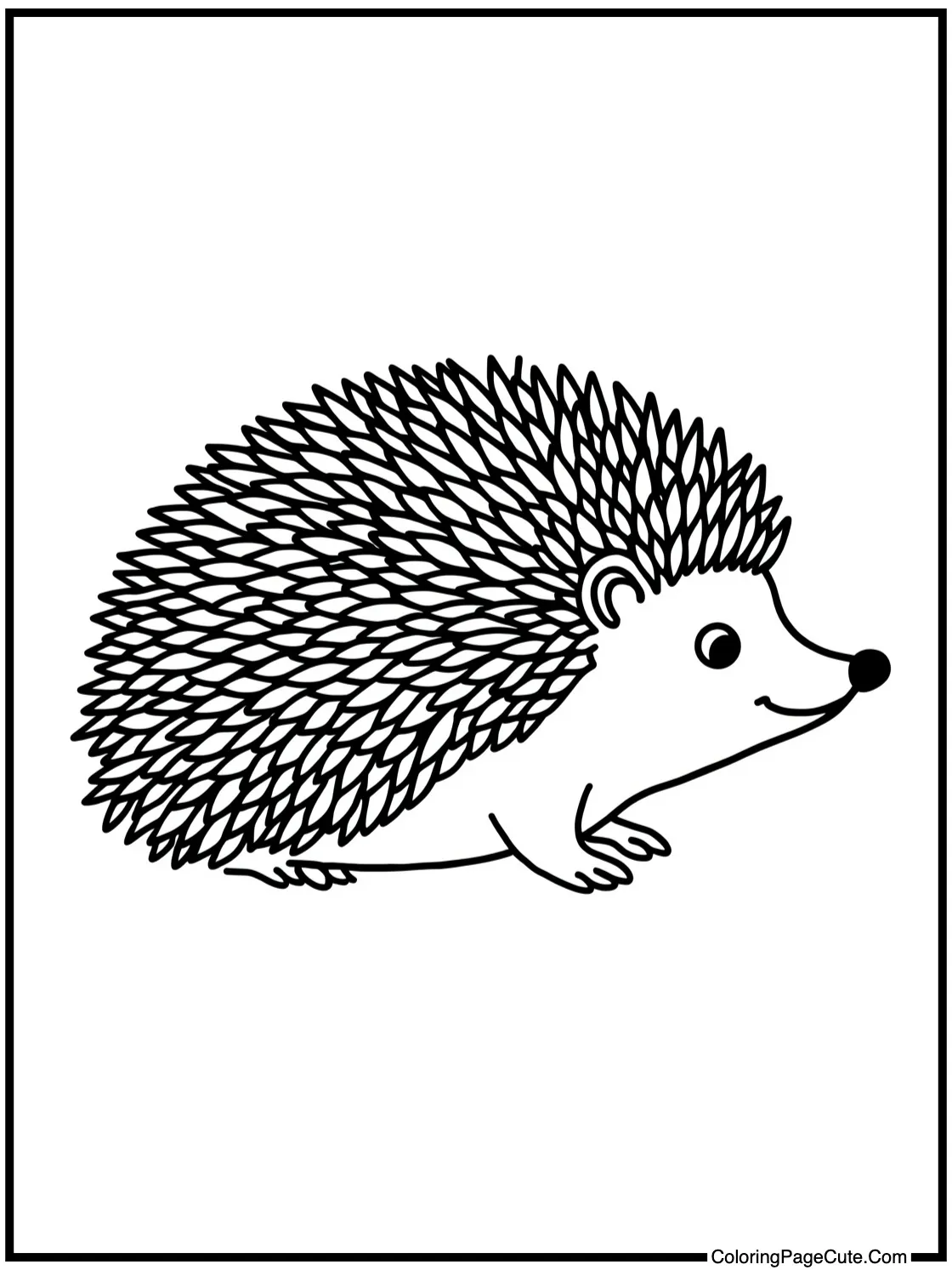 Friendly badger exploring