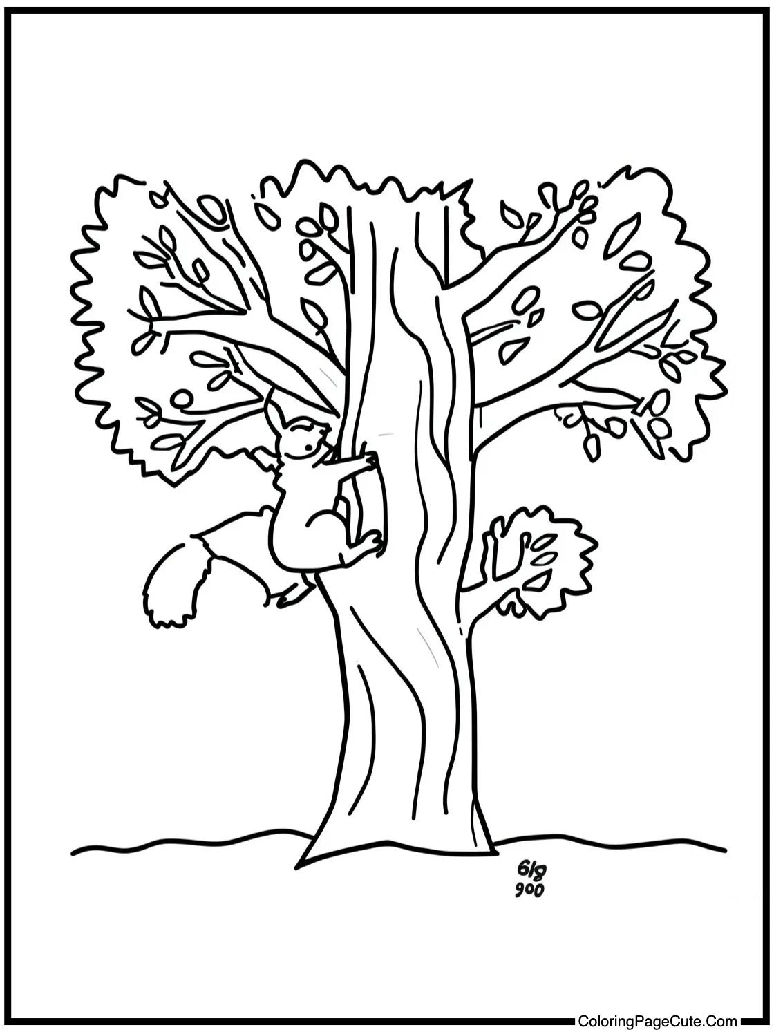 Squirrel climbing tree