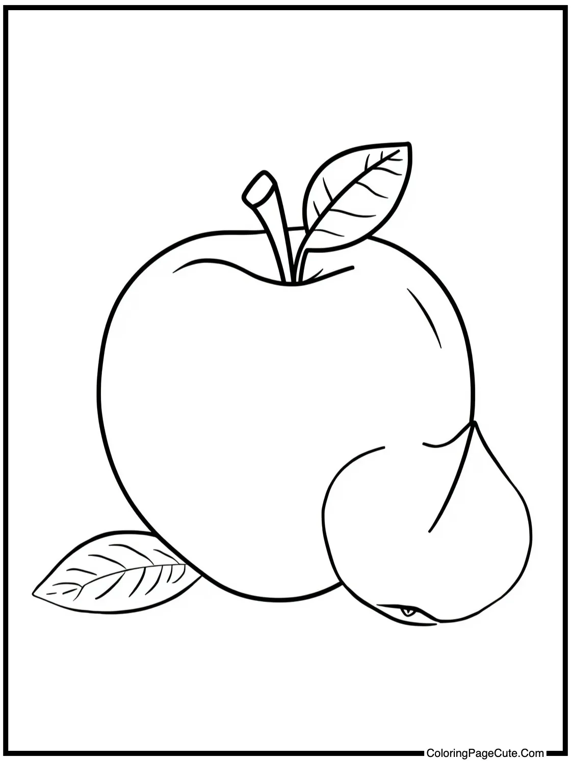 Colorful trees lining