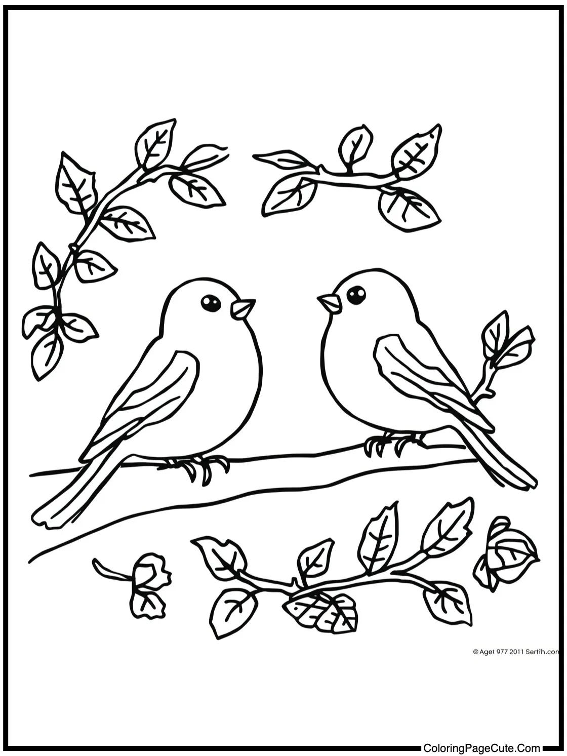 Little birds singing