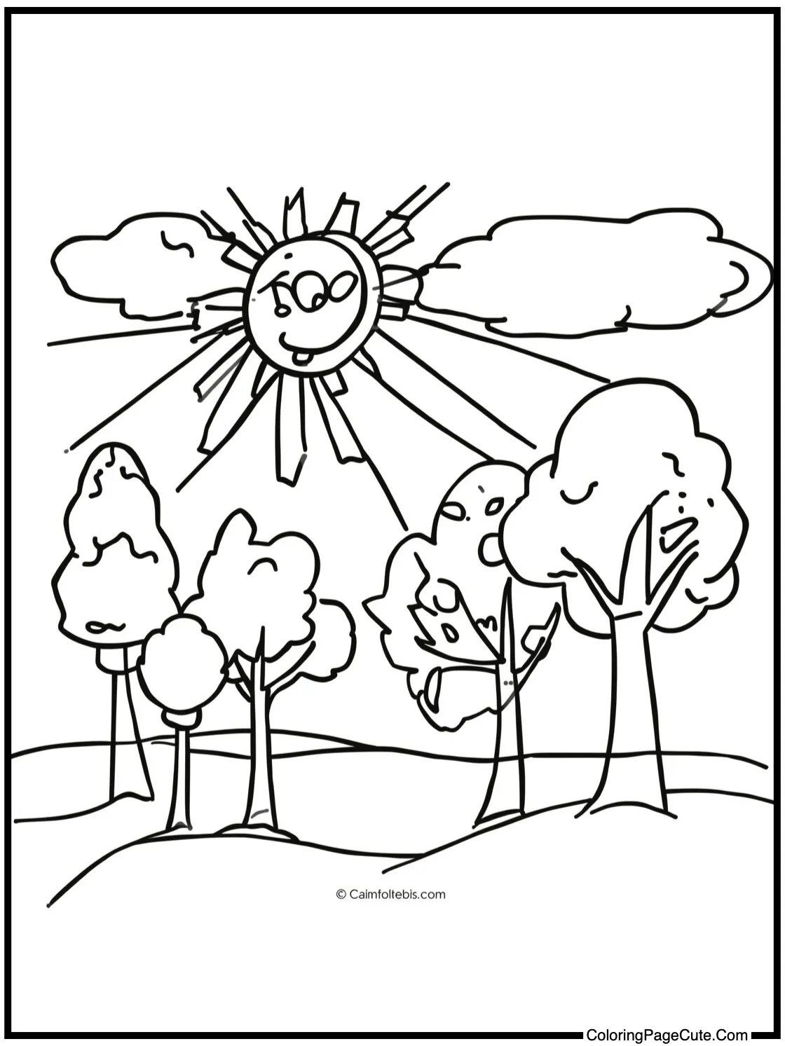 Sunbeams through trees