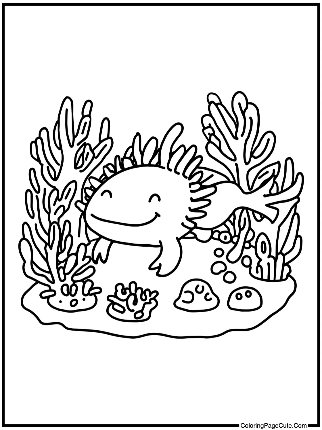 exploring a coral reef