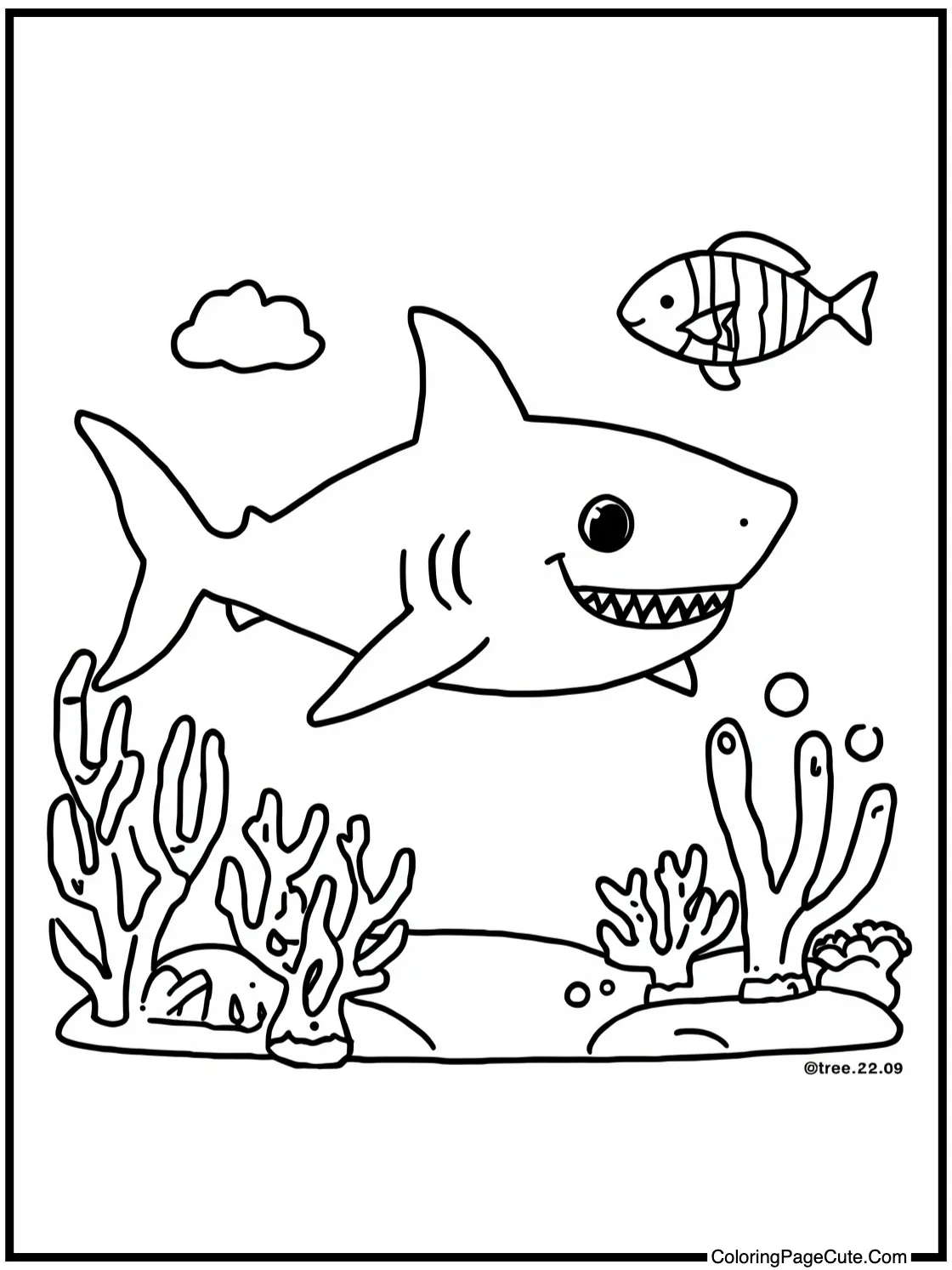 exploring coral reefs