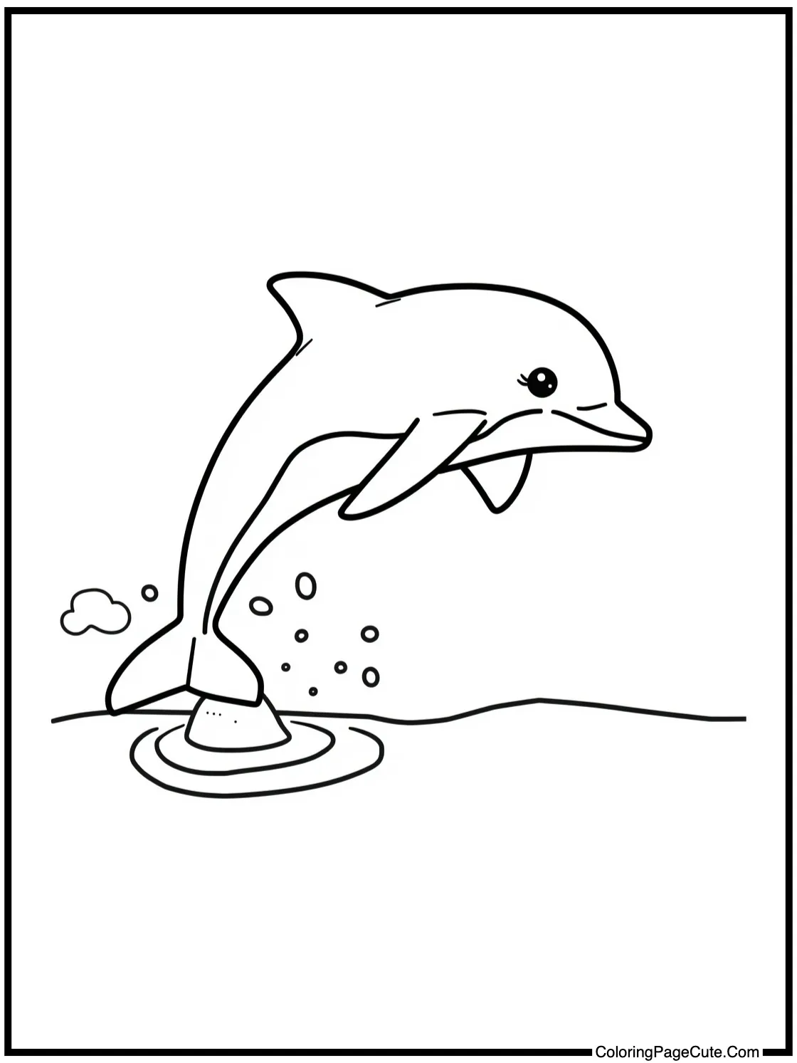 with a Dolphin Jumping