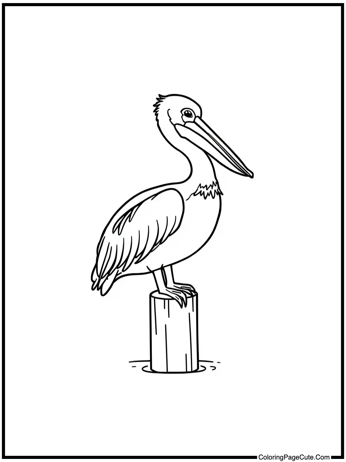 with a Pelican on a Post