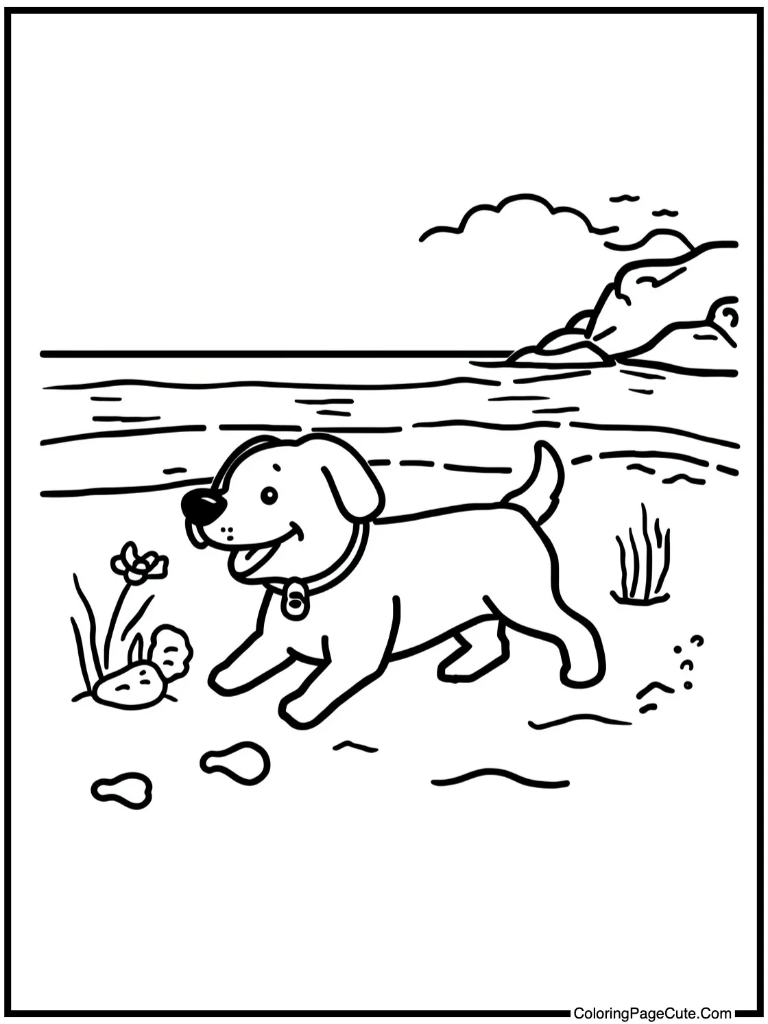 with a Dog Playing Fetch