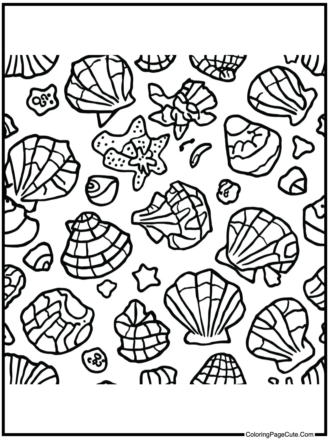 with Seashell Pattern