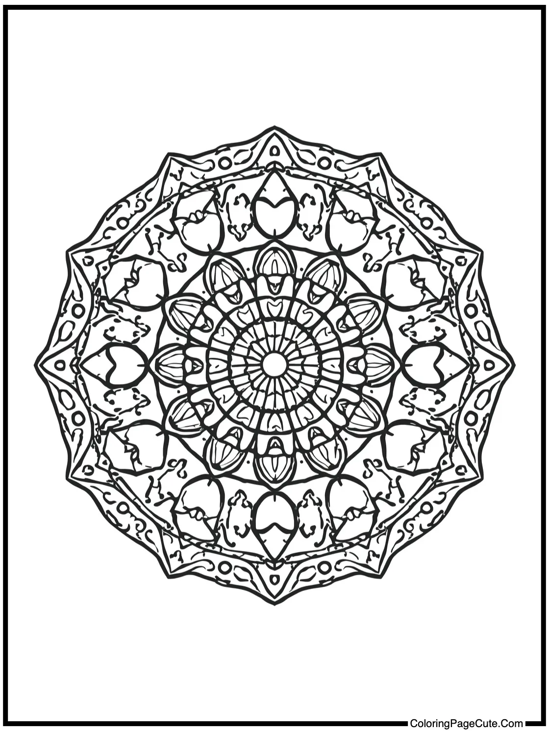 with a Mandala of Seashells