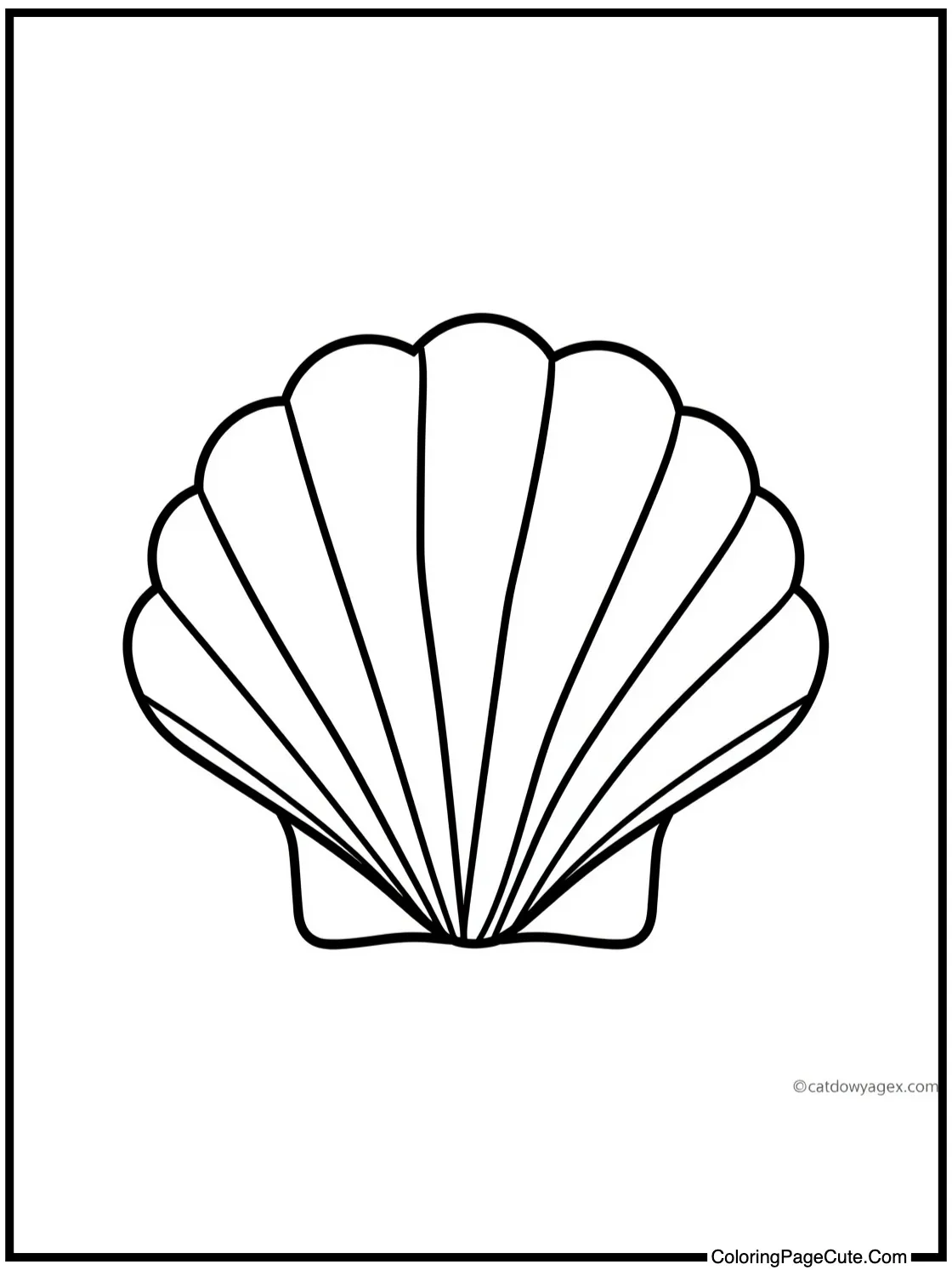 with a Simple Seashell