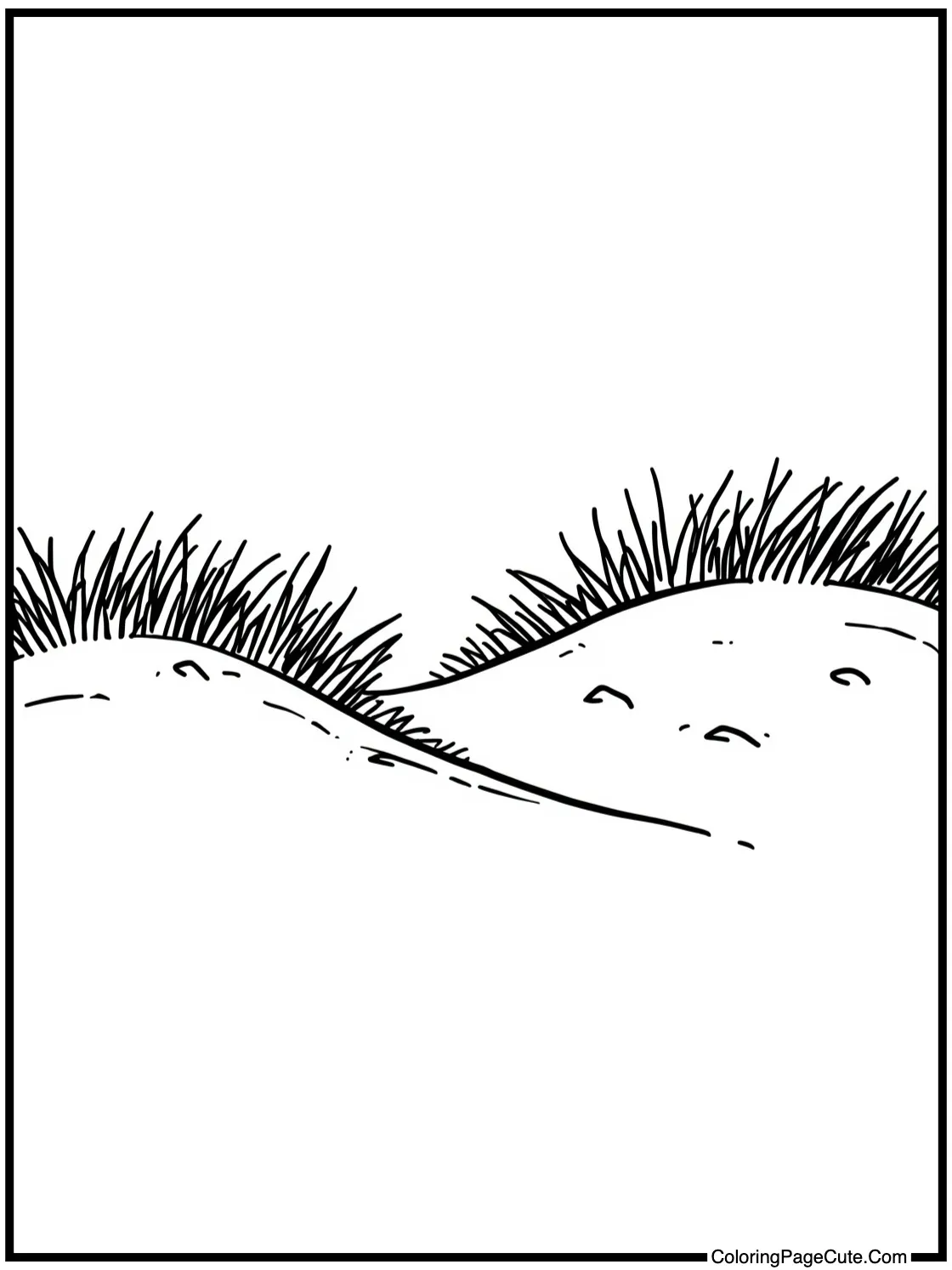 with Sand Dunes and Grass