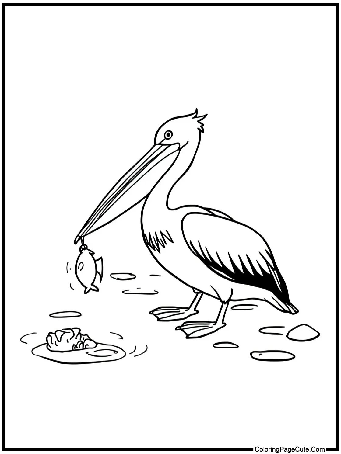 with a Pelican Catching Fish