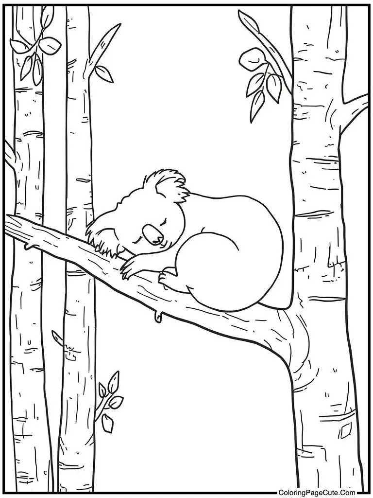 Koala sleeping on branch