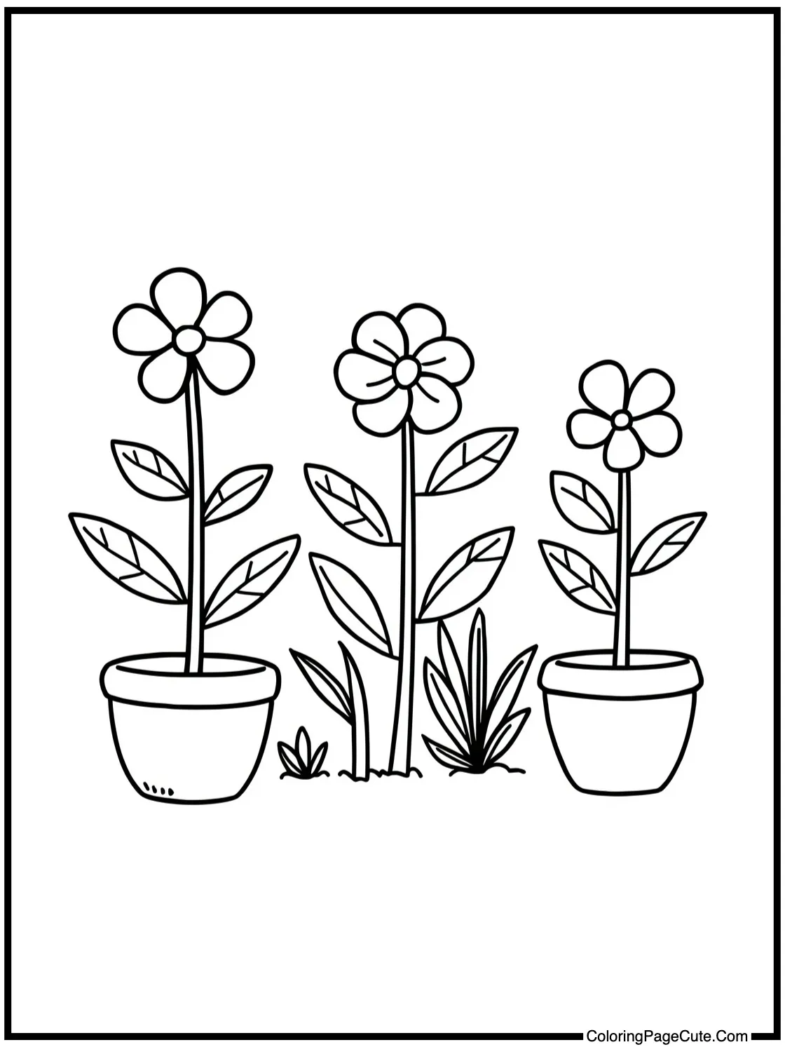 Gordon researching plants