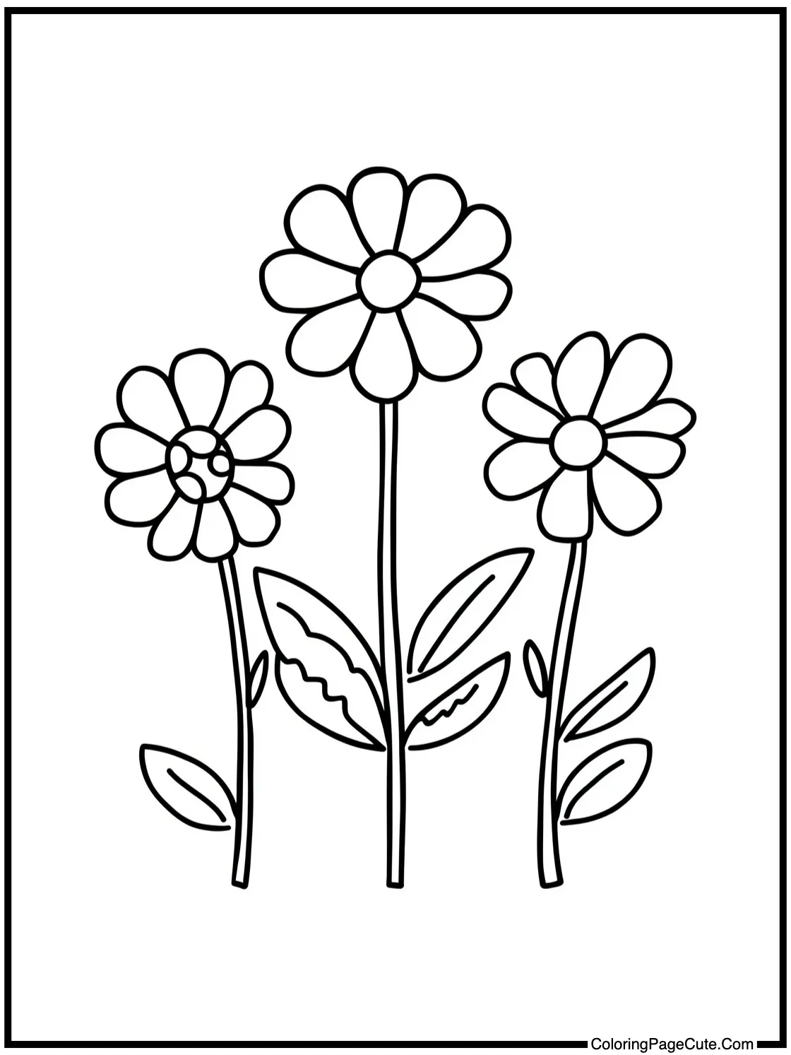 Mimosa healing flowers