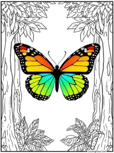 Butterfly Coloring Pages