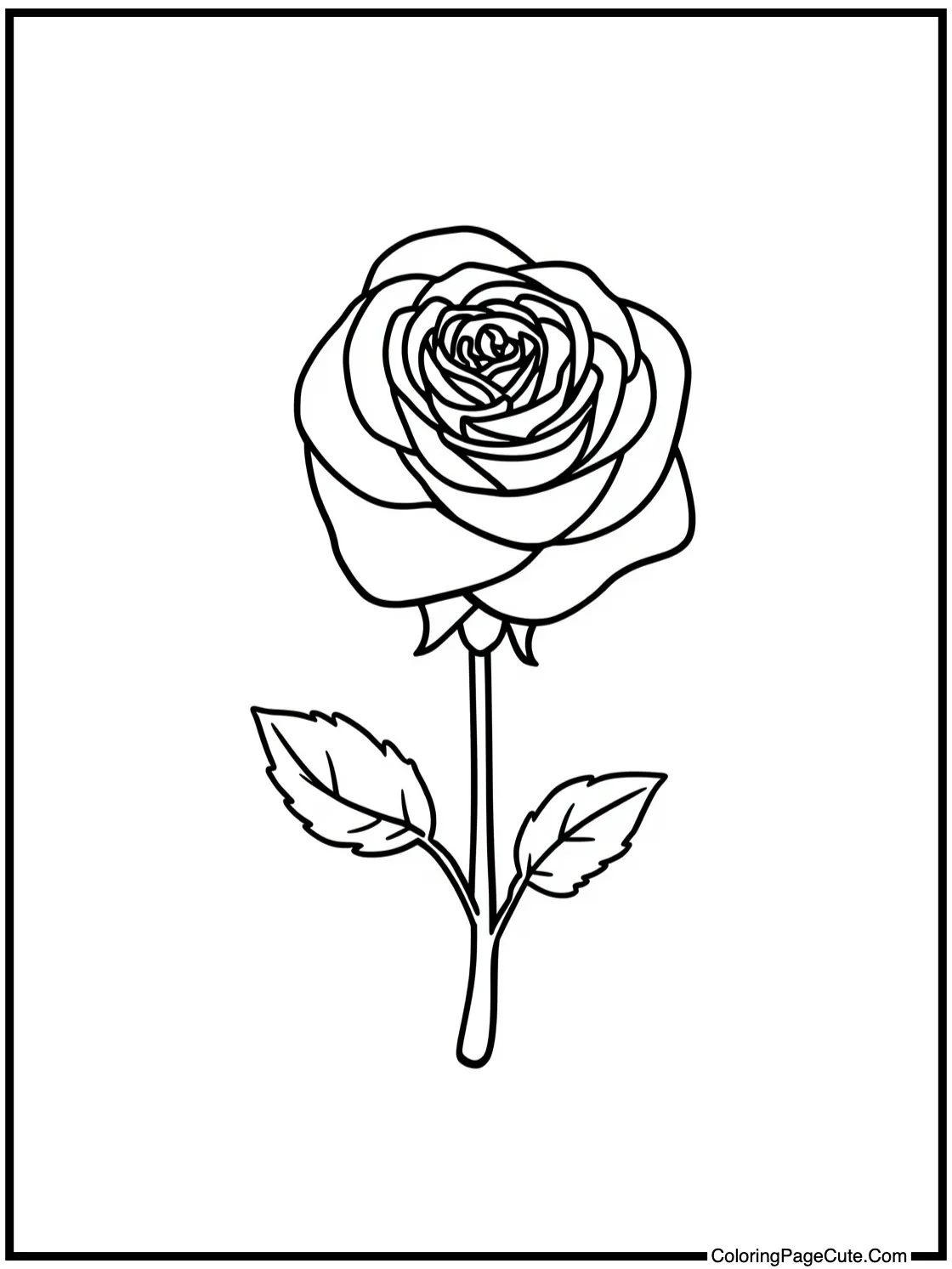 on a rose