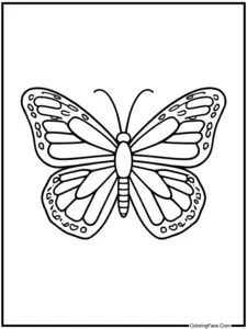 Butterfly Coloring Pages