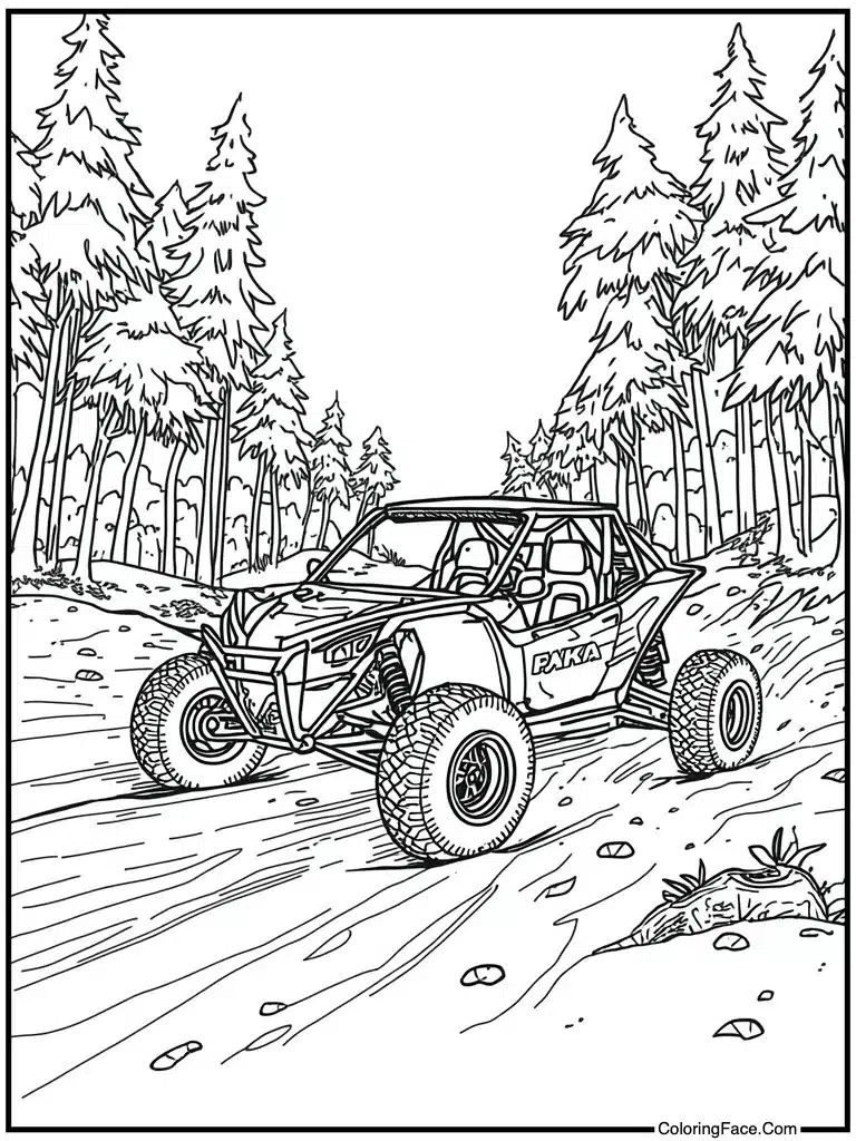 Beach buggy sand dunes