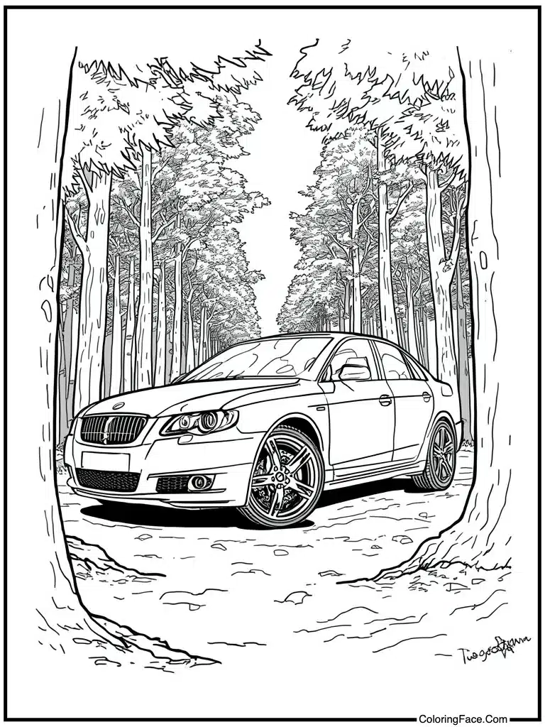 Tire rim design detail