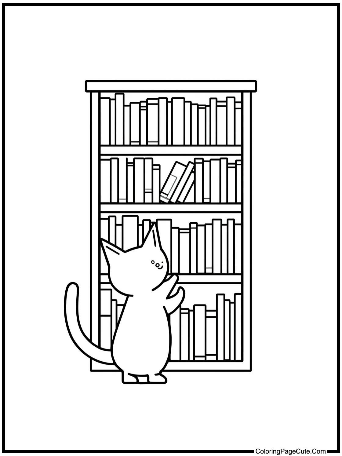 exploring a tall bookshelf