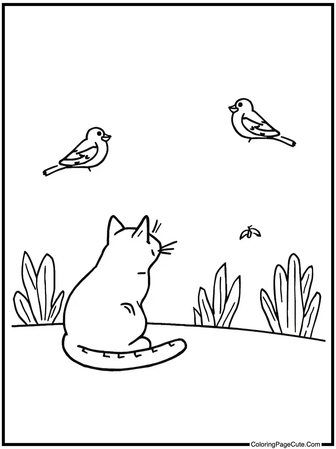 watching birds outside