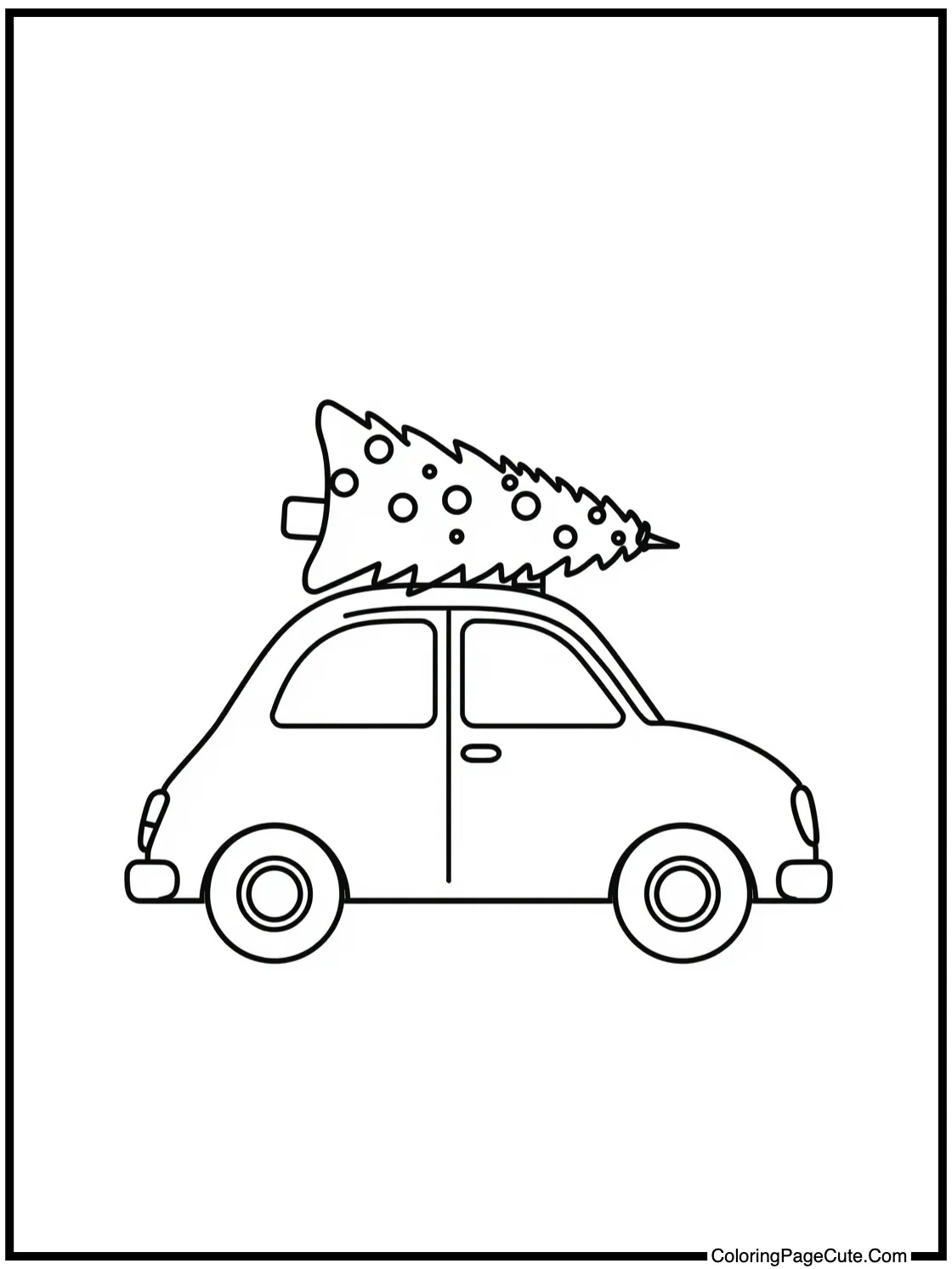 A Tree on a Car Roof