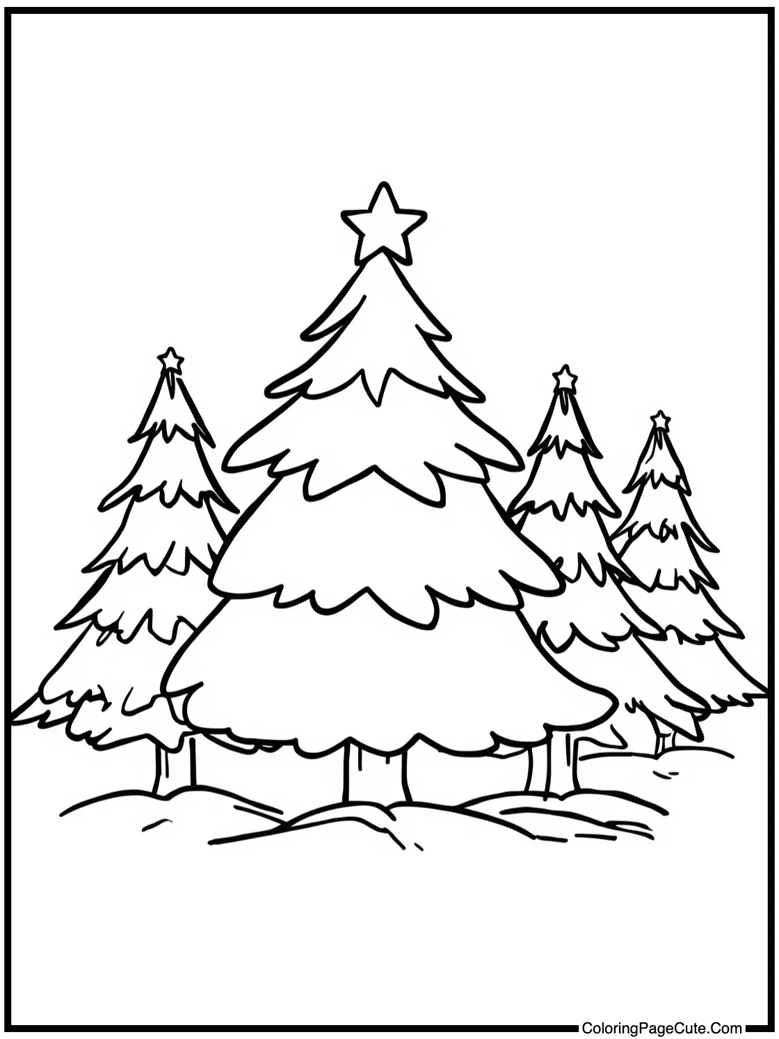 A Forest of Christmas Trees