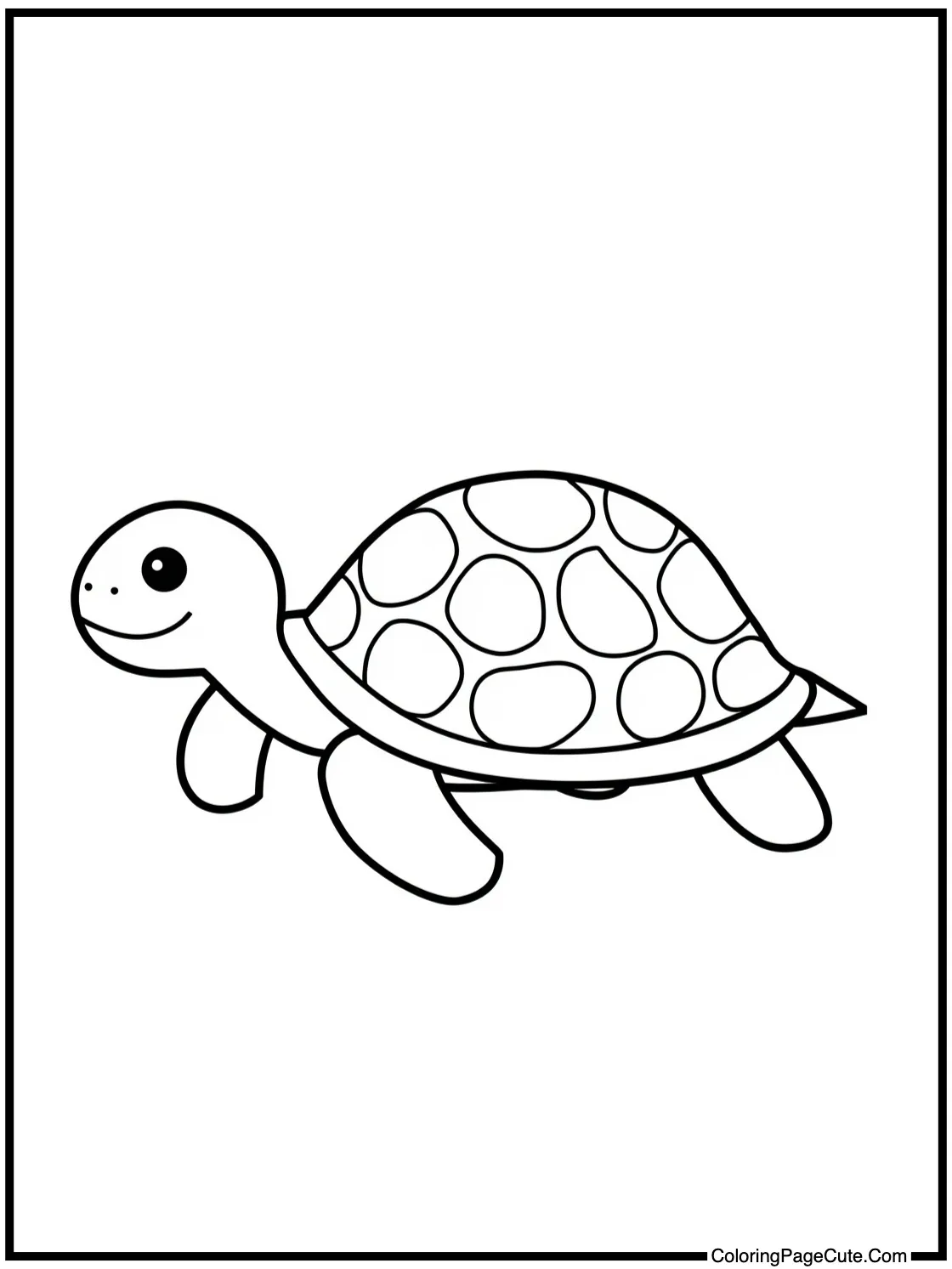 Turtle