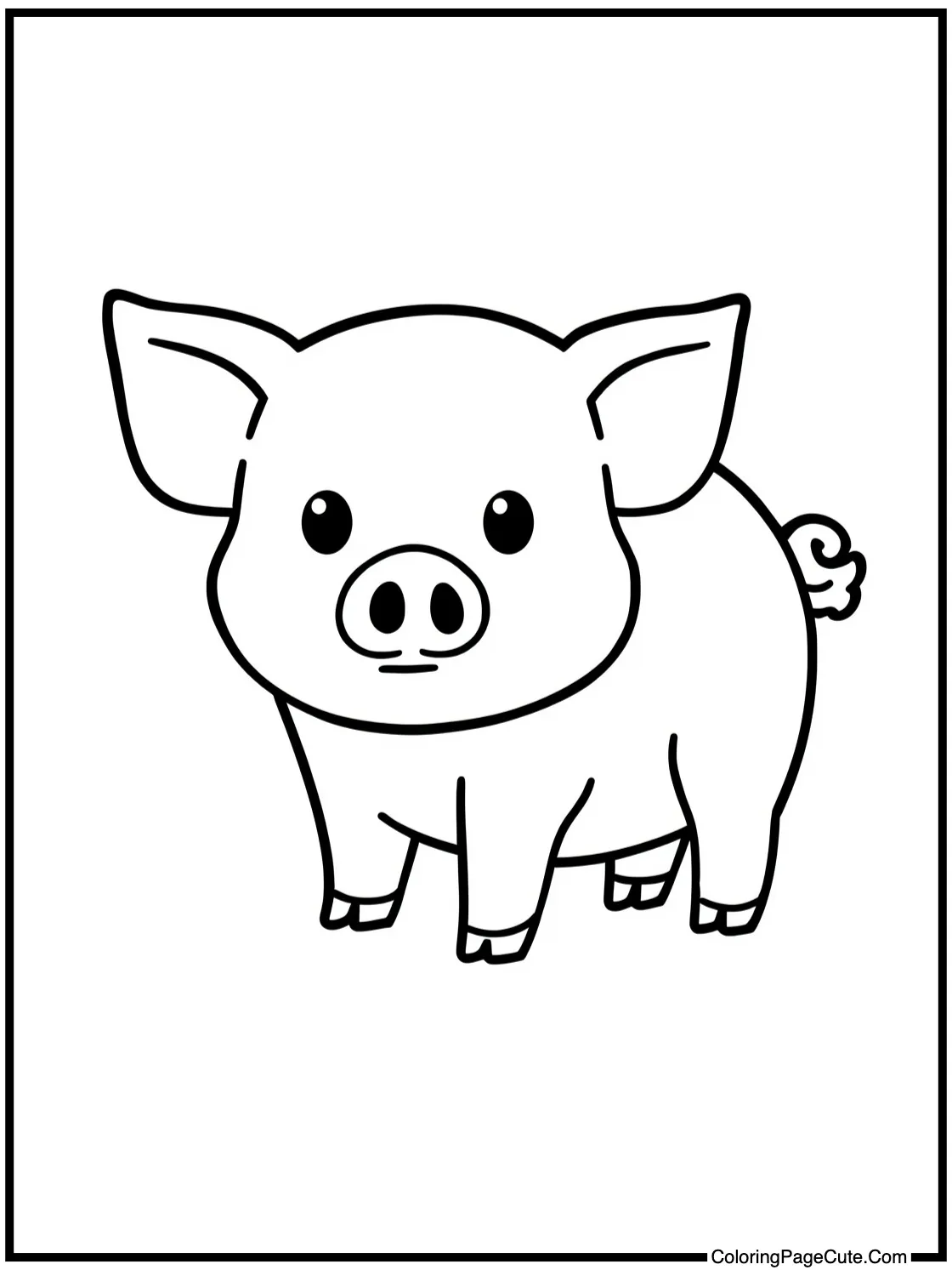 Pig