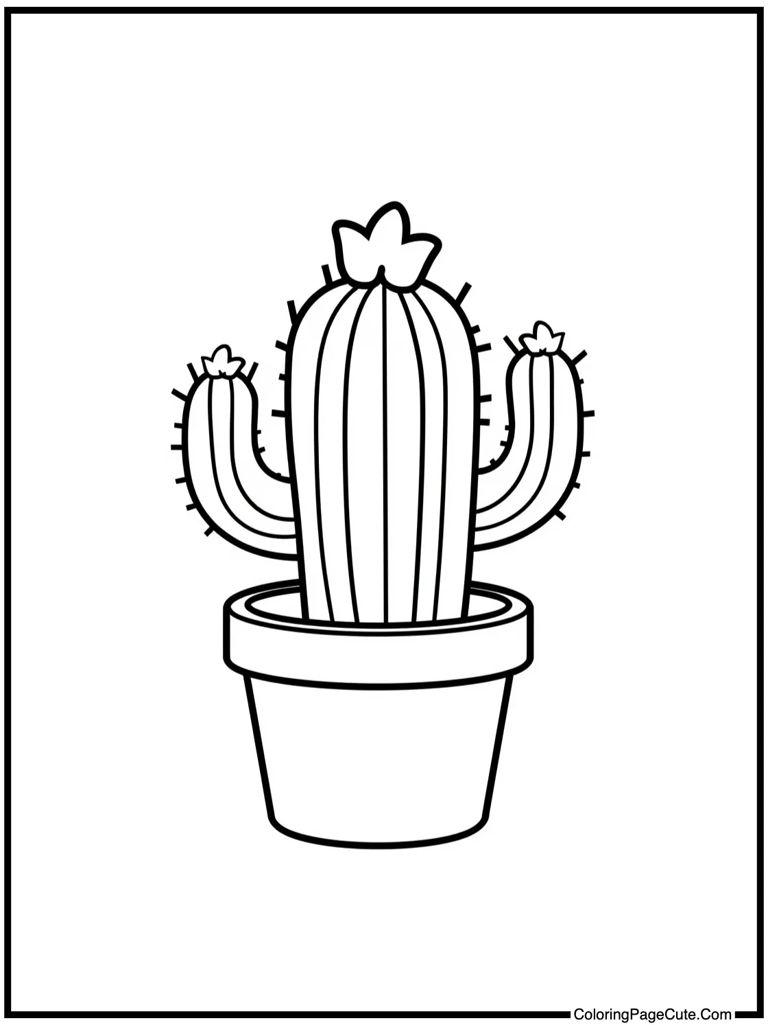 Cactus