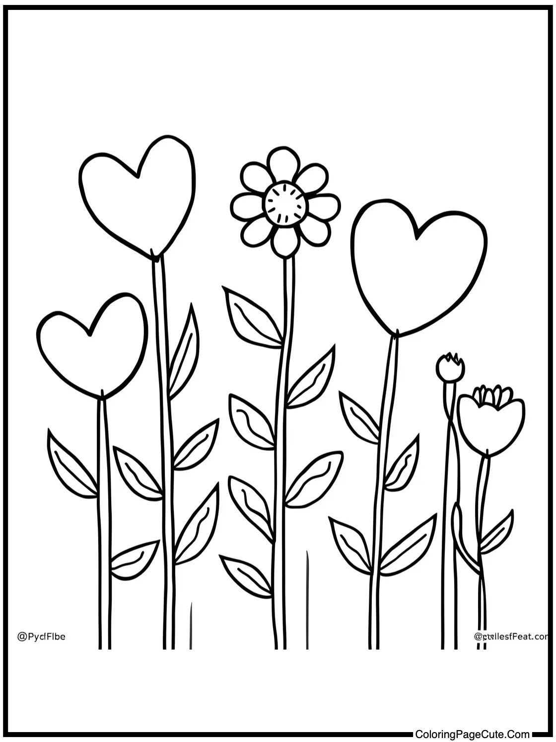 blooming like flowers.