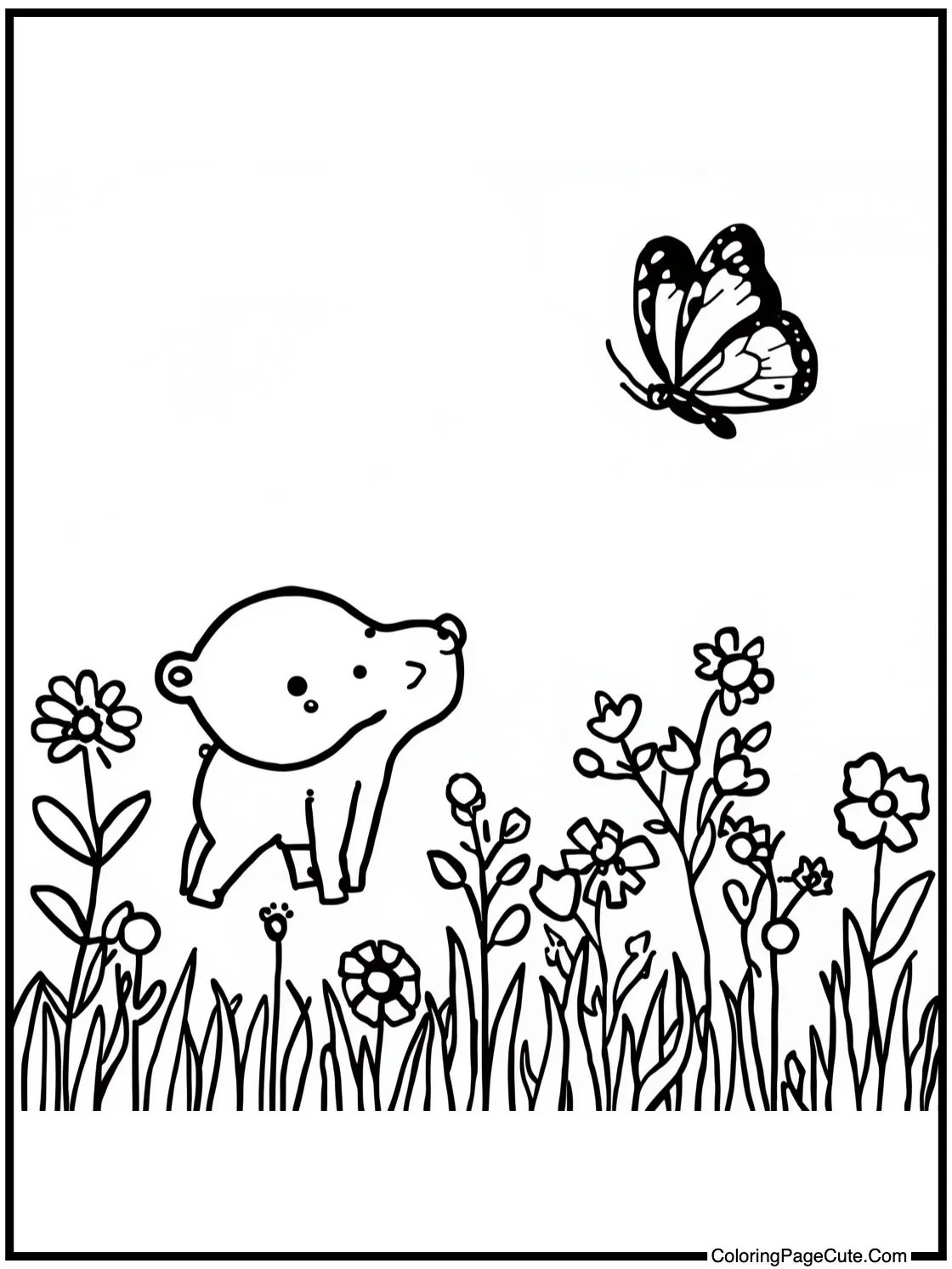 watching butterflies fly