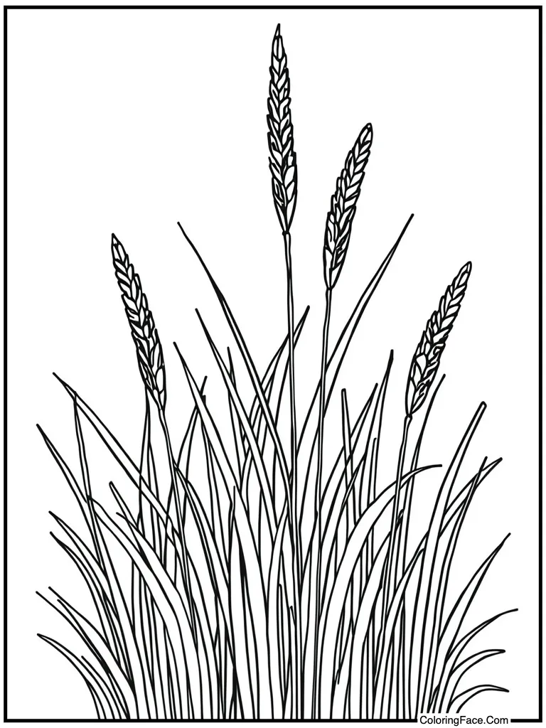 Green grass growing tall